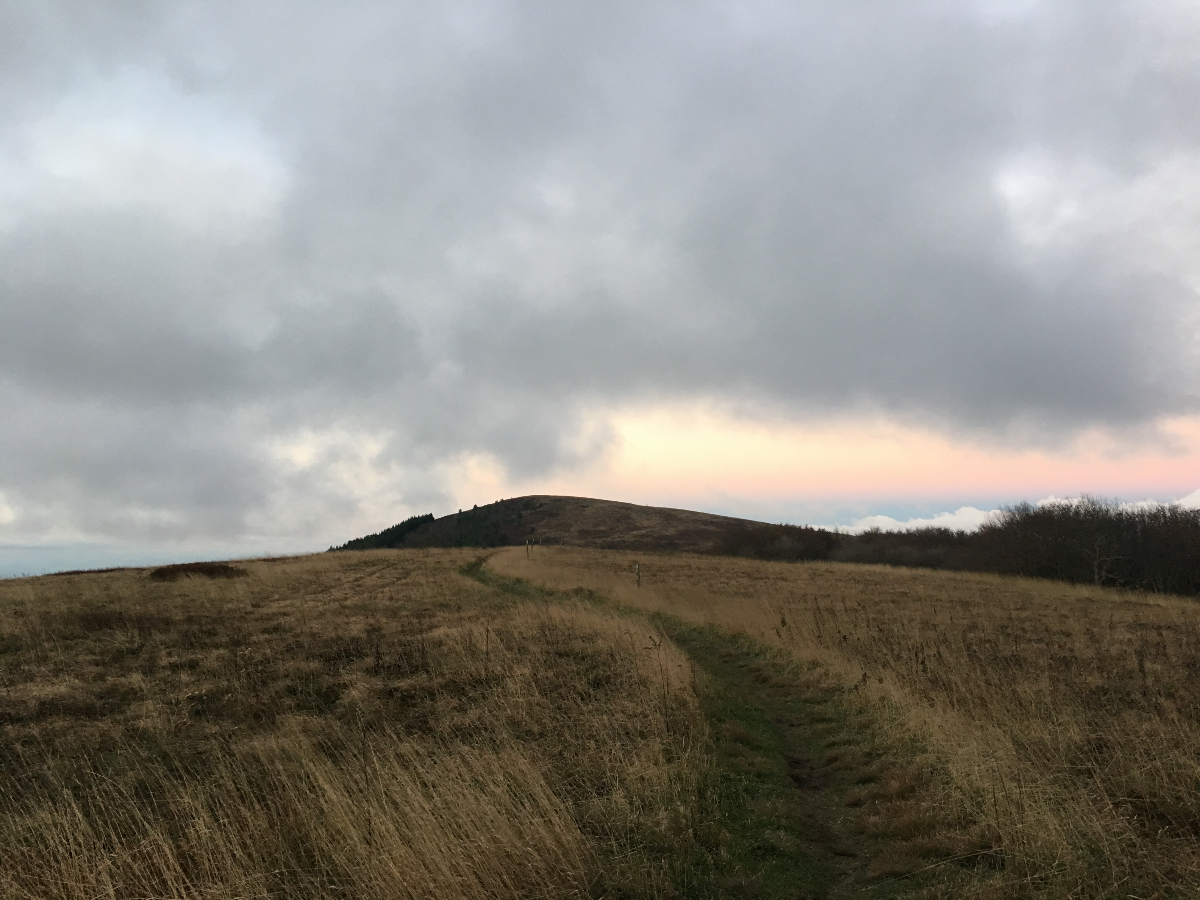 5B5D9440-DD8B-4392-B5A4-81DB972512D5