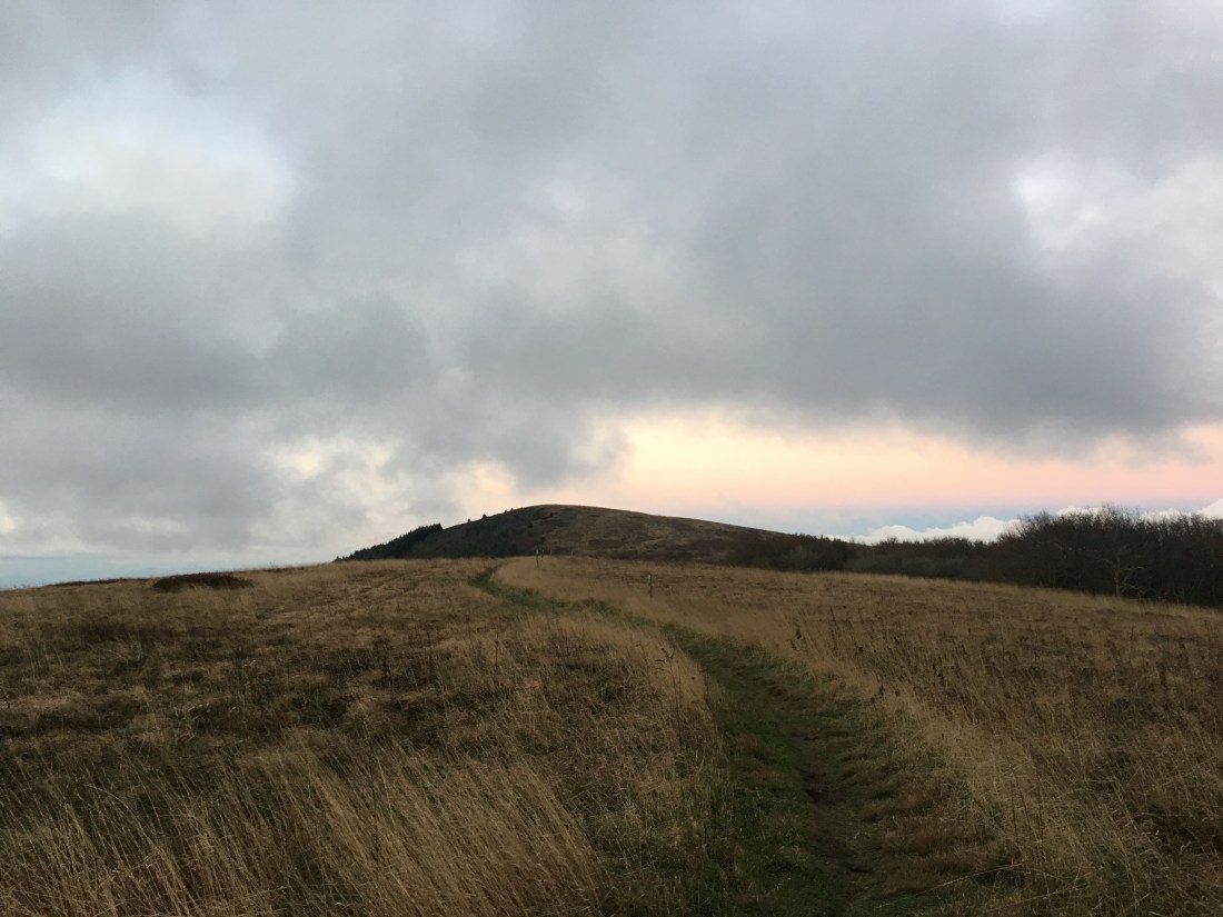 5B5D9440-DD8B-4392-B5A4-81DB972512D5