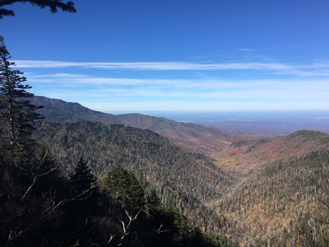 6A4DC431-C941-4A2B-BC12-D46B9F5A0F5F