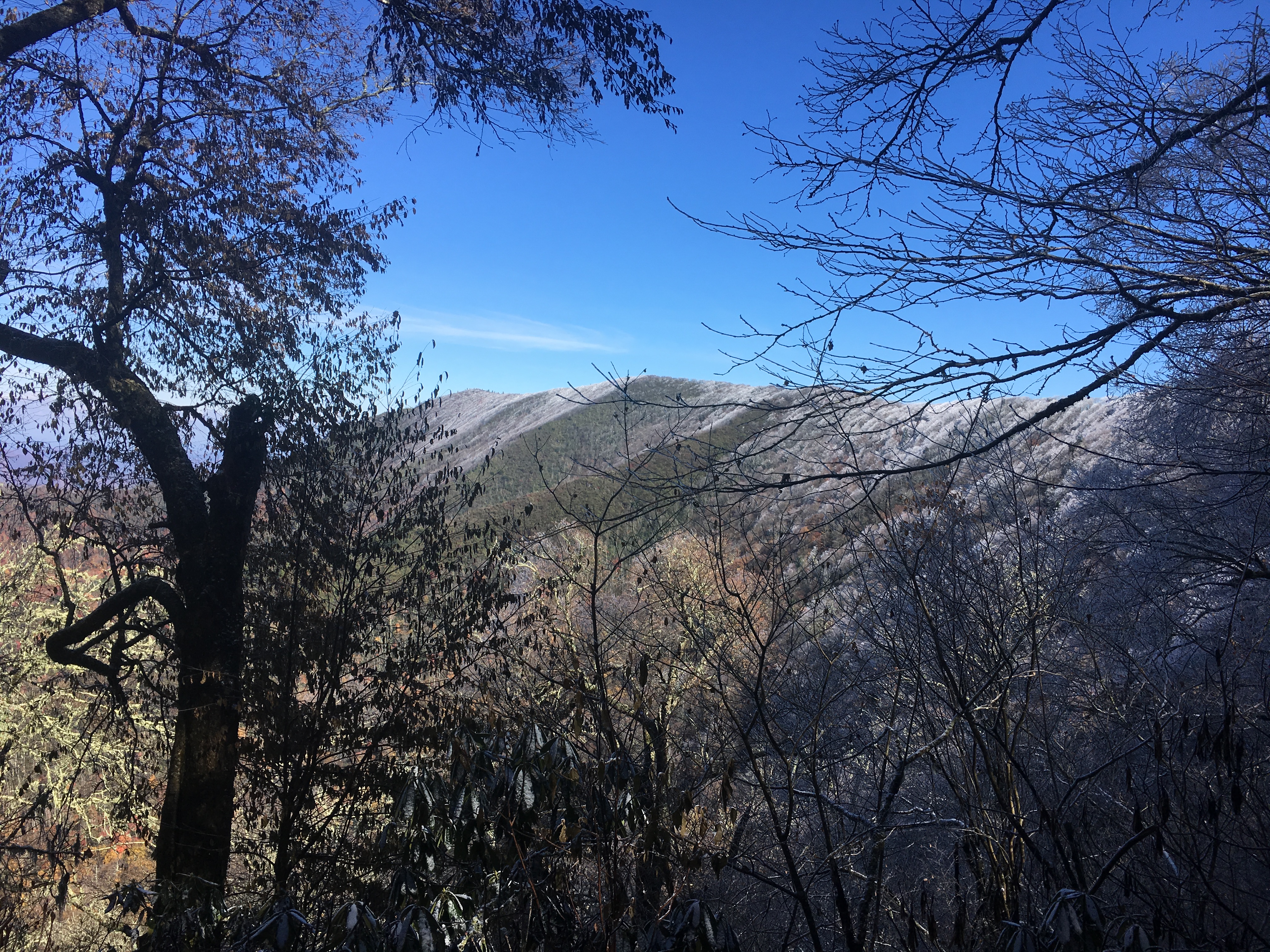 715C78DF-B979-4C98-BA3D-38DA629641CD