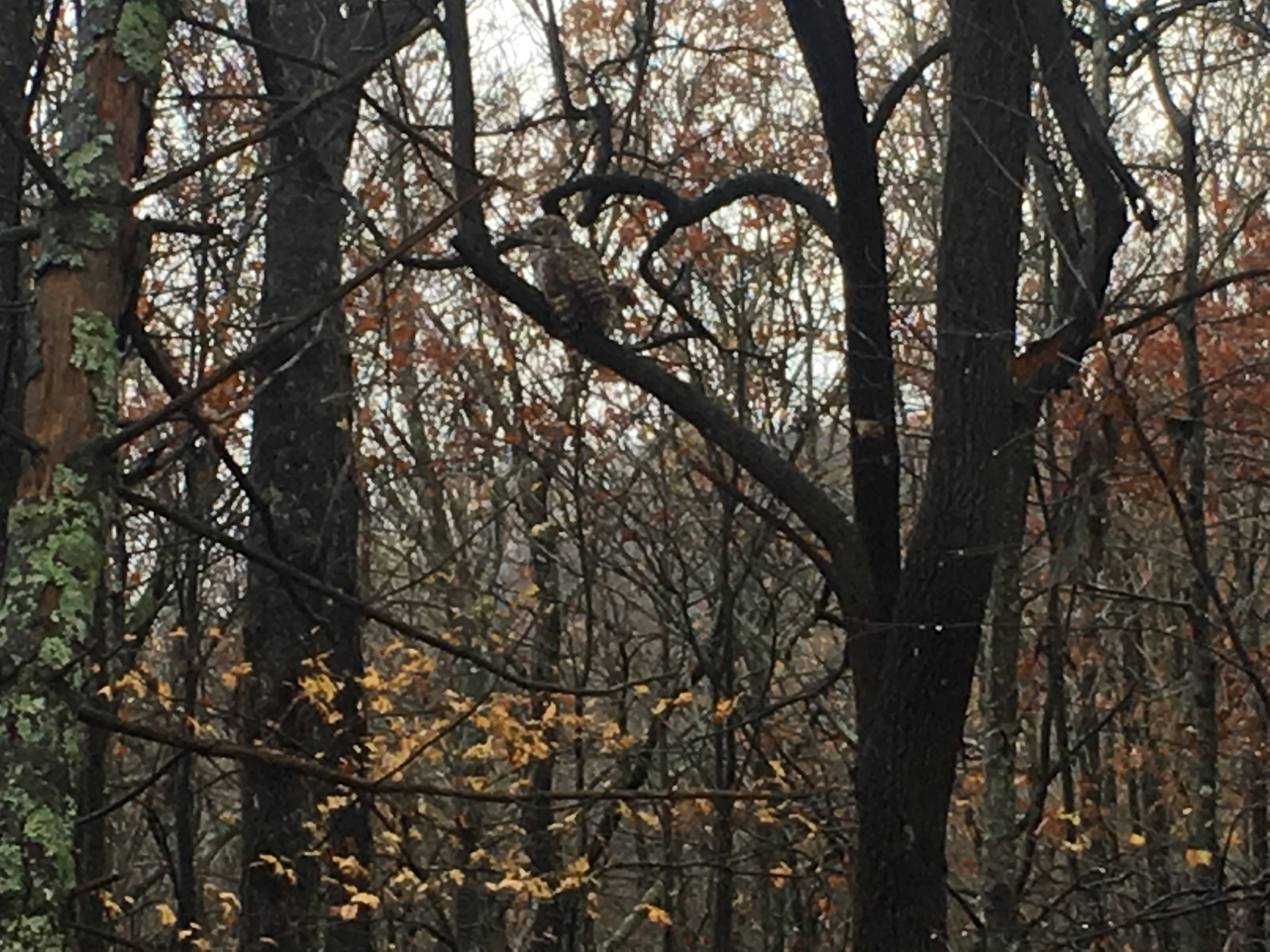 71E7C4AF-D3BB-4006-A9F0-2179C6A0C0EB