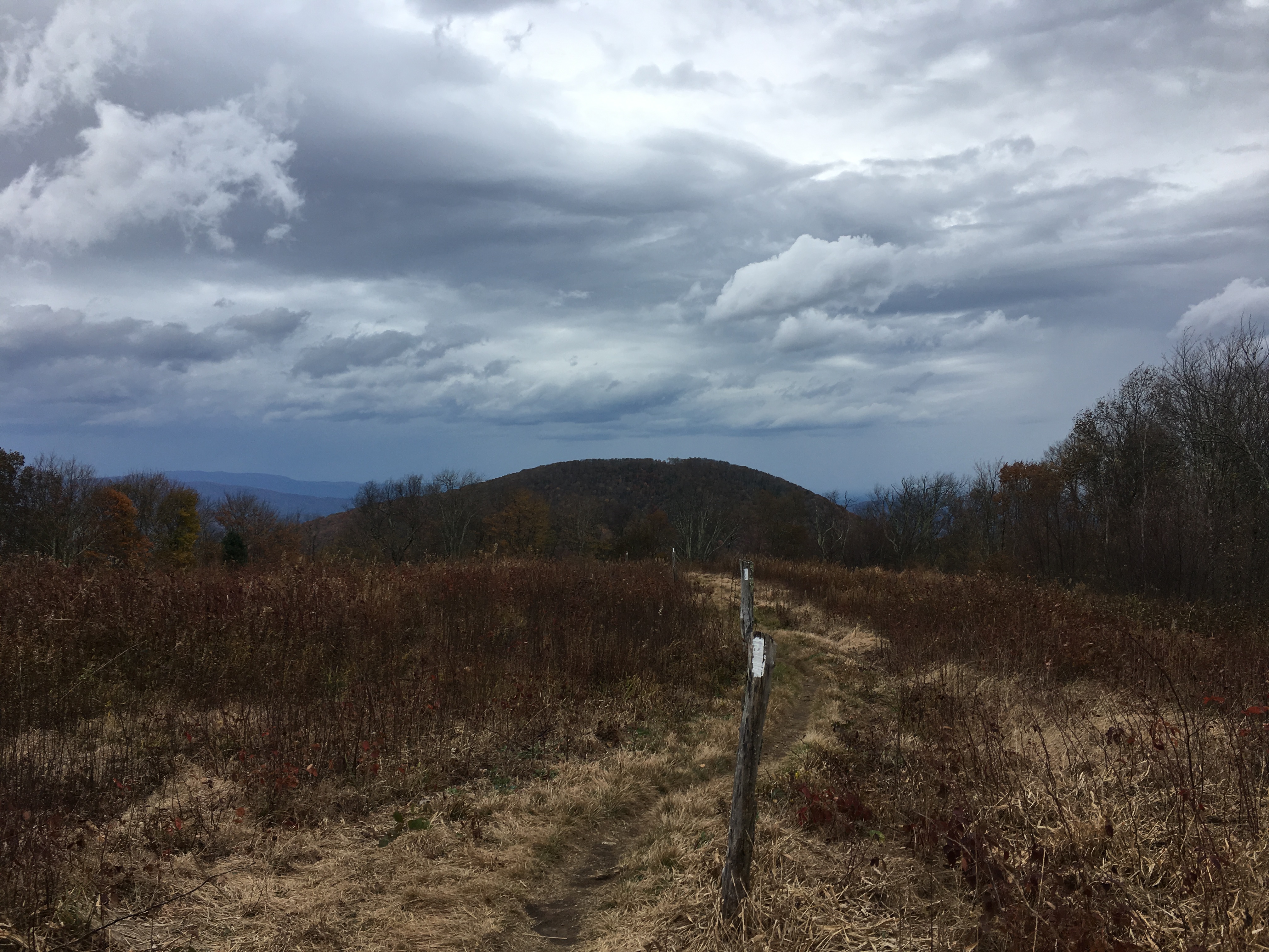 85A6DFB7-37AA-4495-B8D9-9010C59F0855