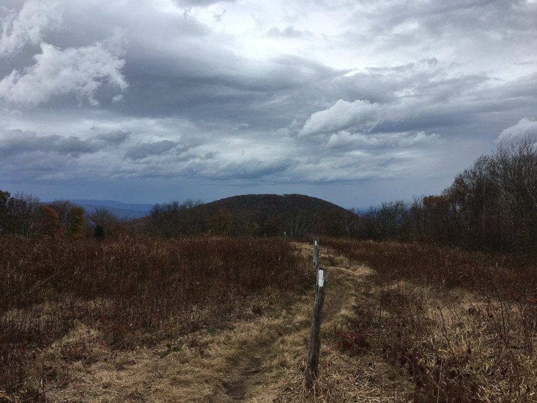 85A6DFB7-37AA-4495-B8D9-9010C59F0855