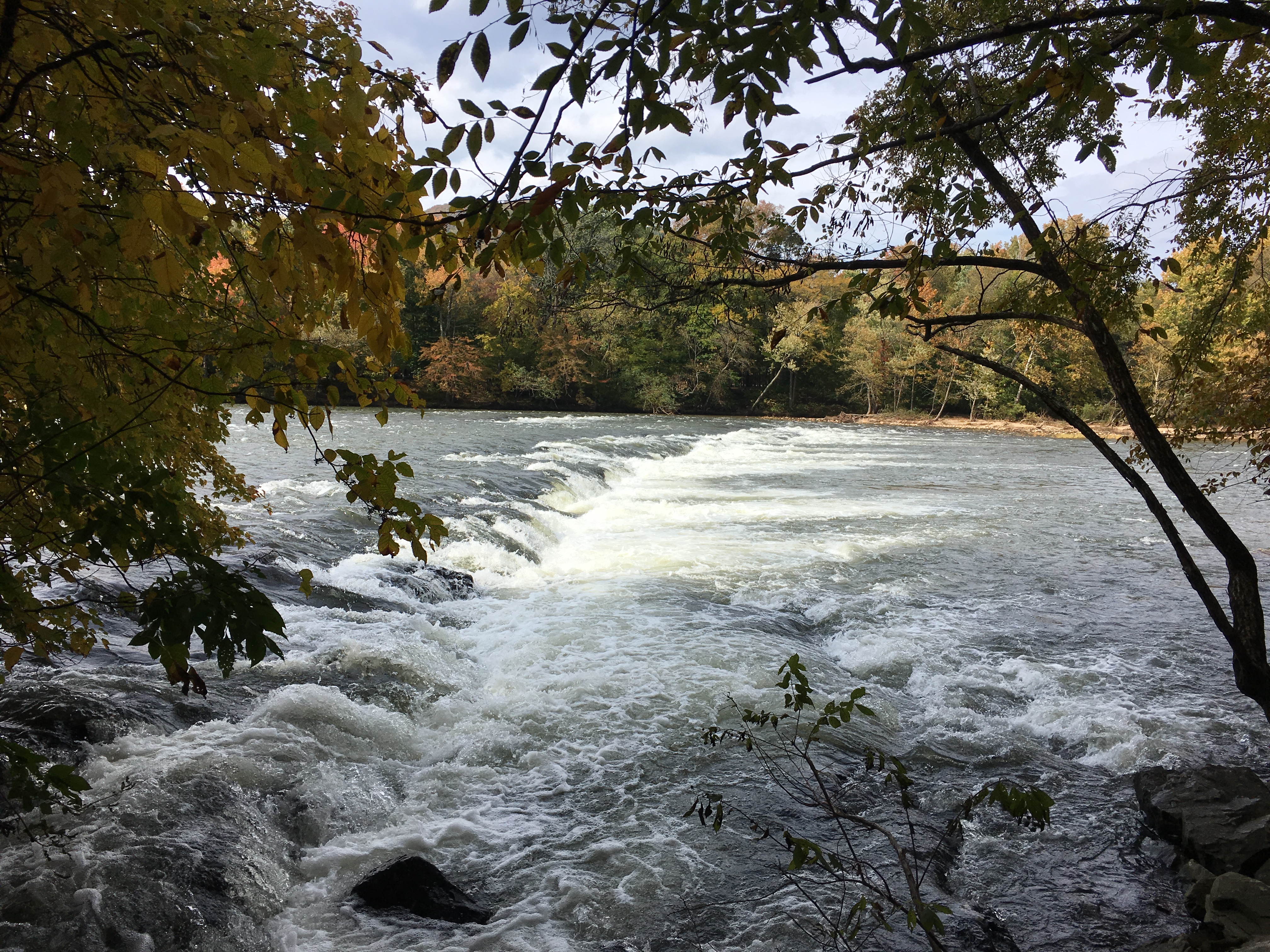 896507A5-C7B2-4D99-B07A-51A9C8785107