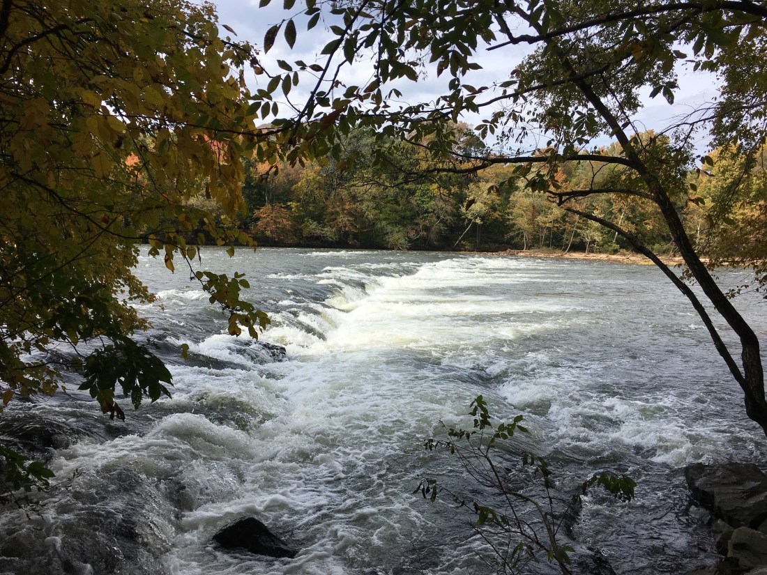 896507A5-C7B2-4D99-B07A-51A9C8785107