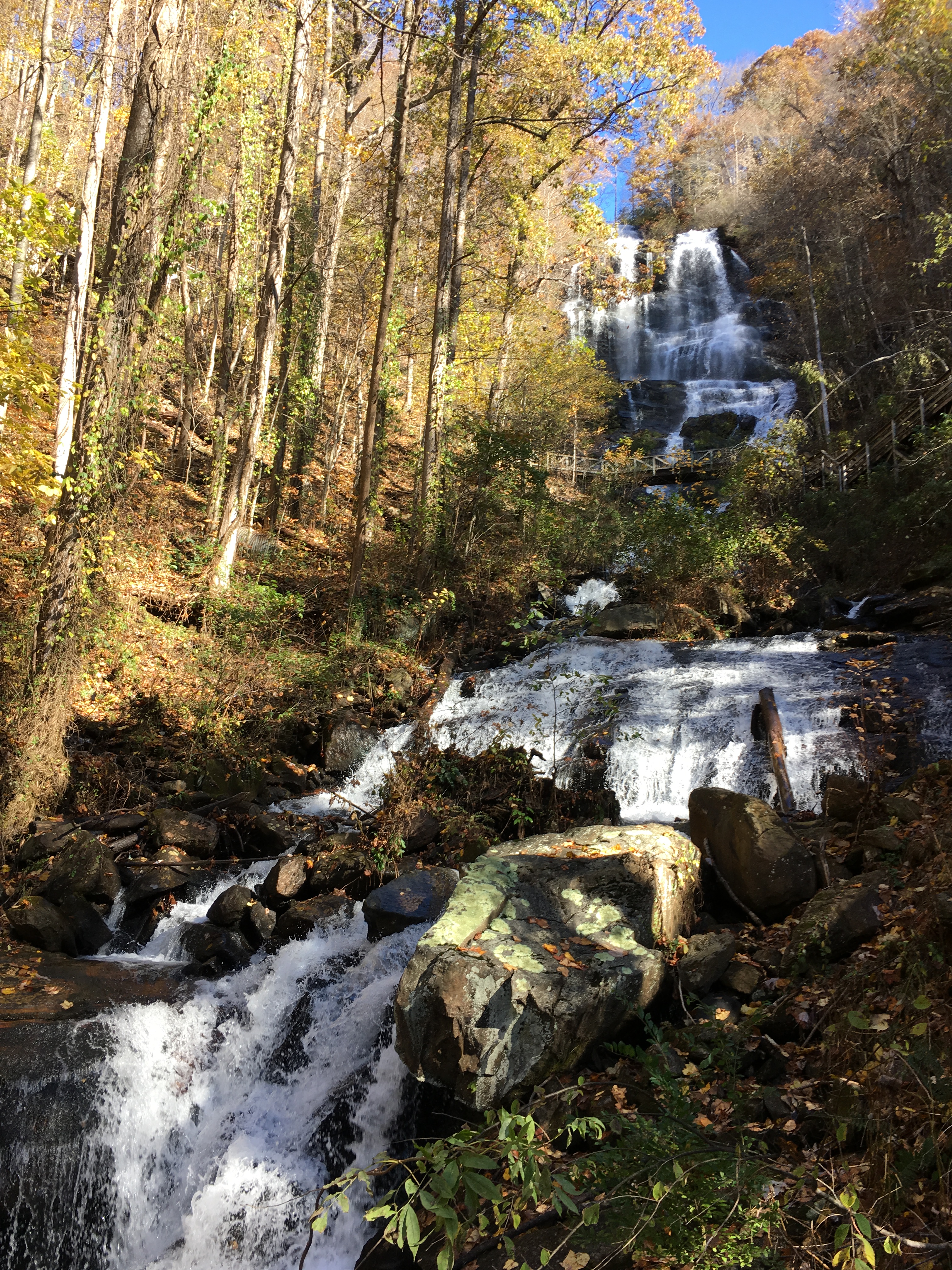 8A19F8A9-9BF8-435A-AB20-94E1098B390C