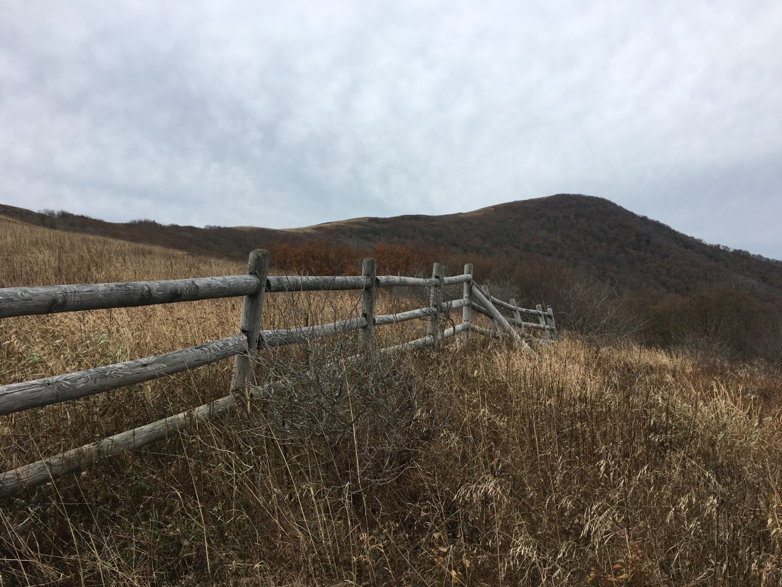 8A769375-4D38-4D81-BD6E-38430A1686A7