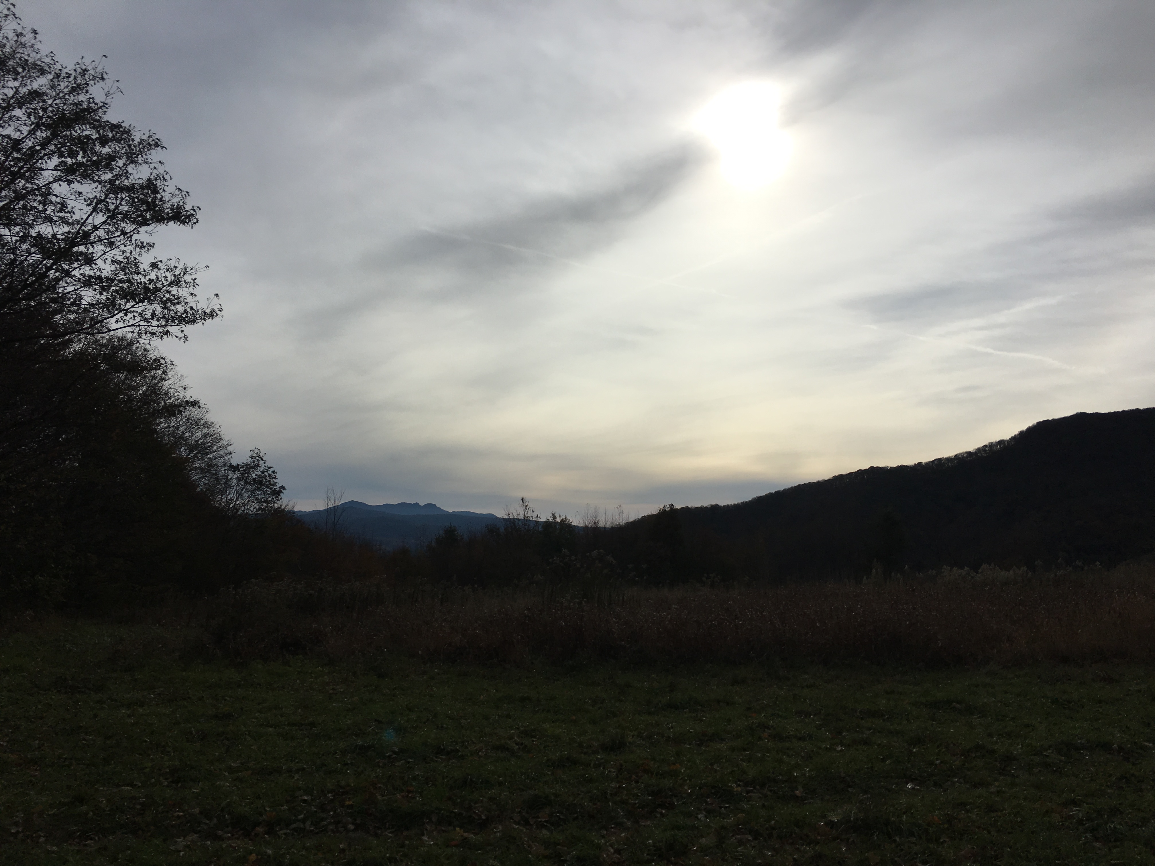 8D1B8FF2-06E2-4376-A1B1-828B3D62EB9E