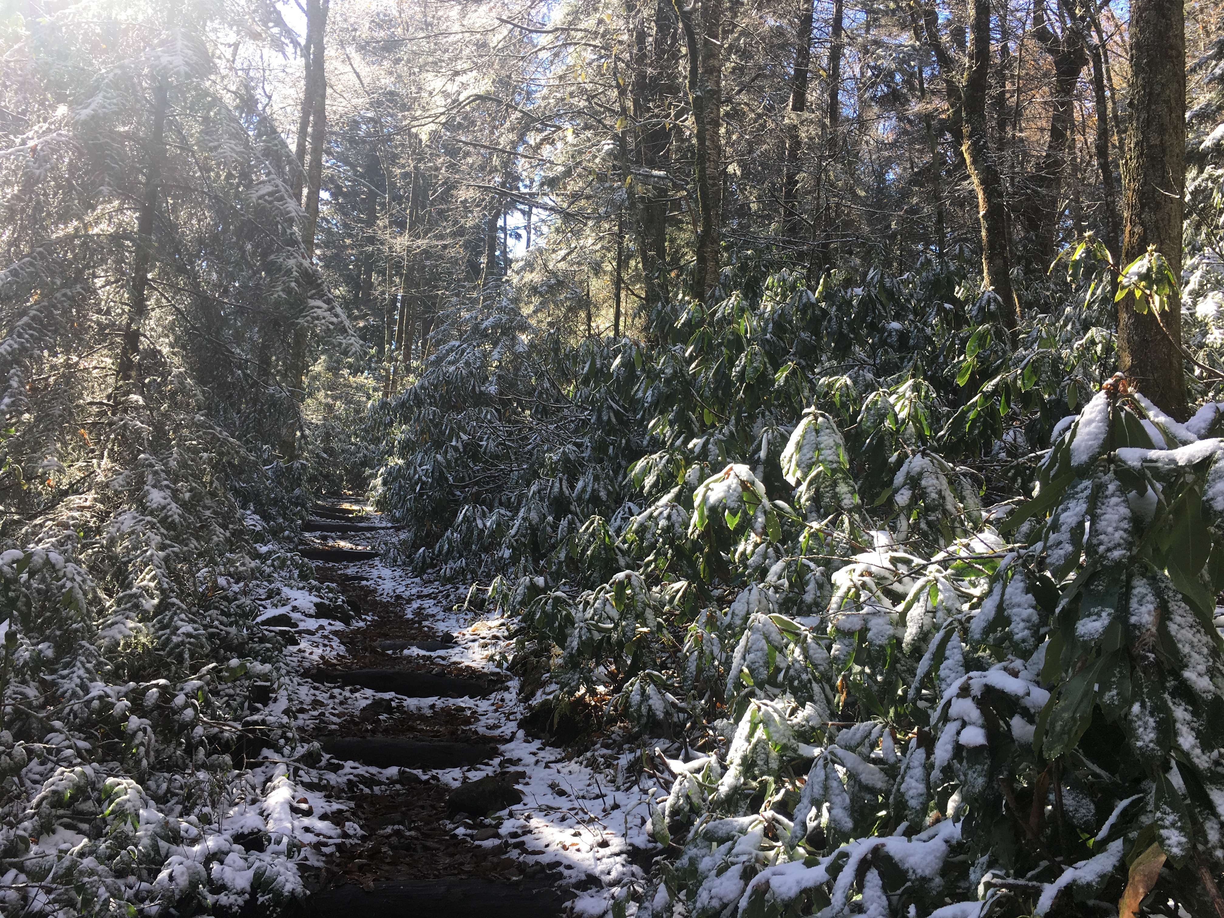 90E9A118-86F7-42BF-B350-F973DAFCA895