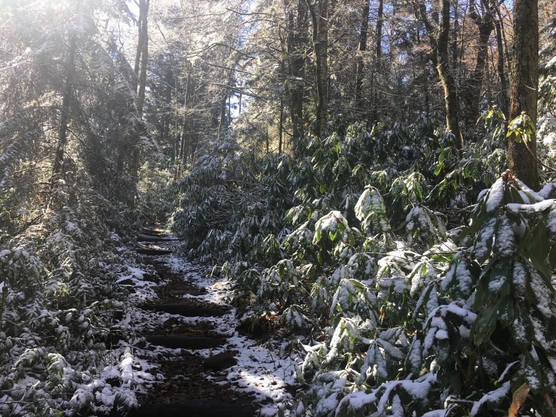 90E9A118-86F7-42BF-B350-F973DAFCA895