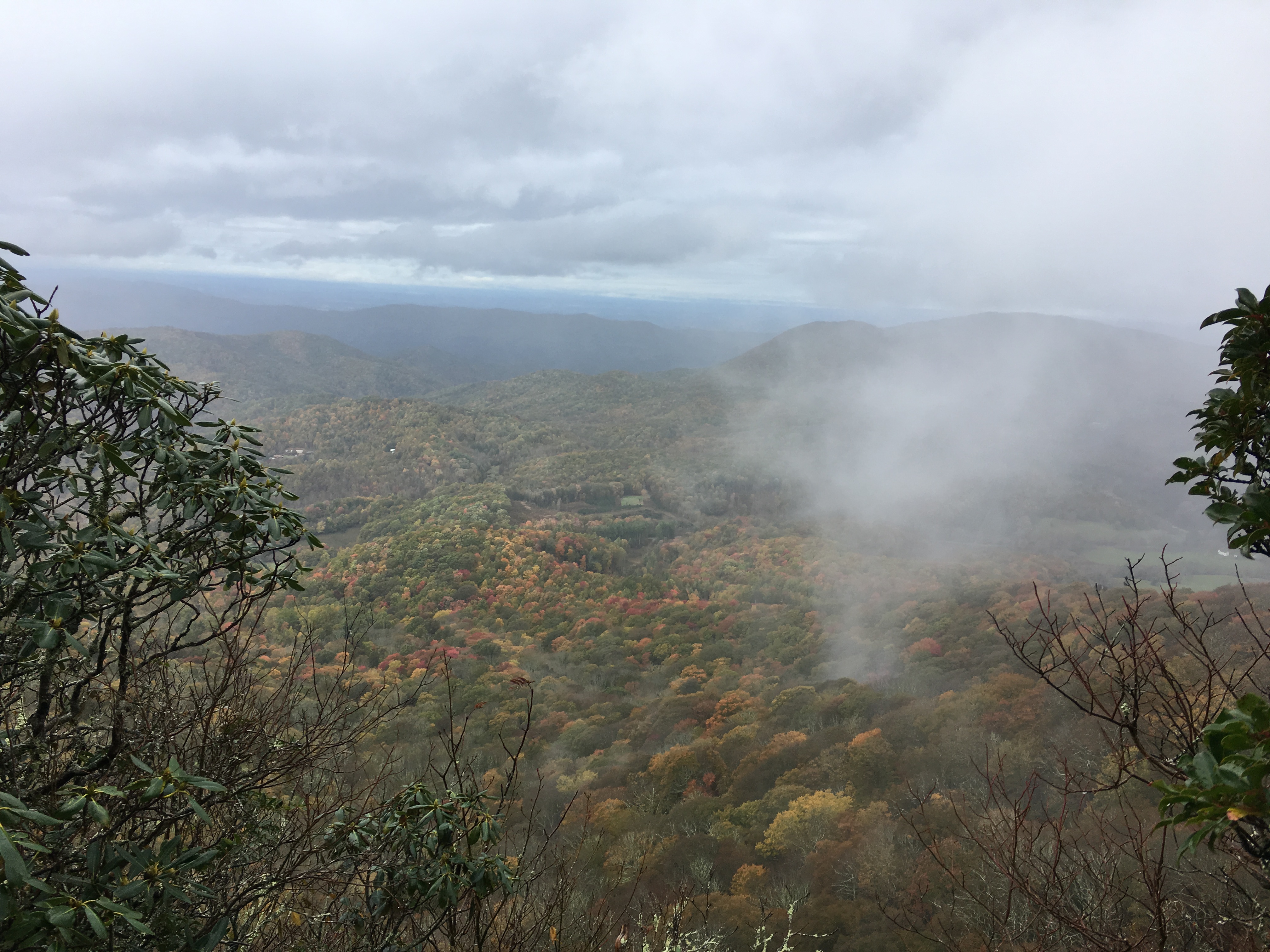 91A9BA52-F0B4-490F-881C-11134F8E8F28