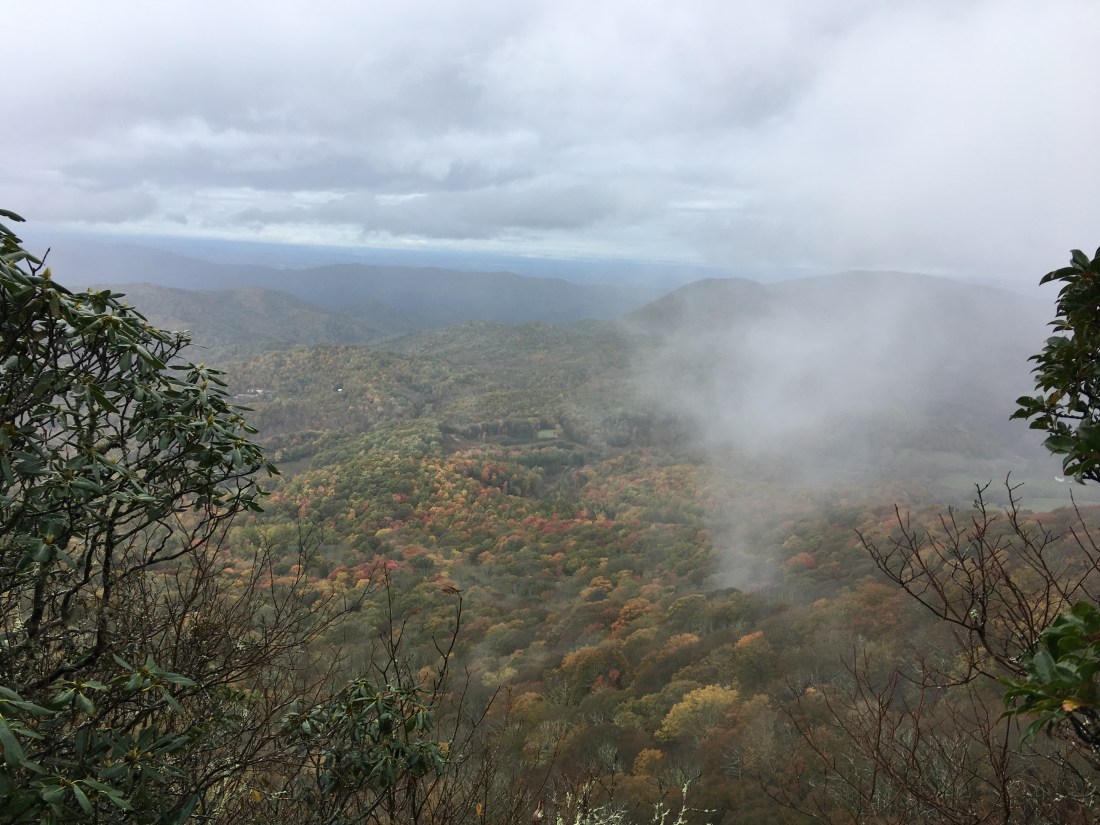 91A9BA52-F0B4-490F-881C-11134F8E8F28