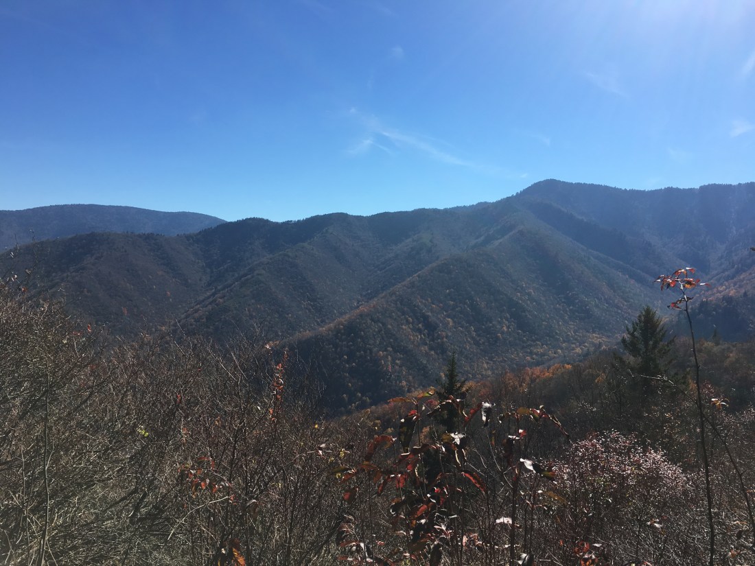 91B7D379-EDB5-4940-8E86-1040DB99CED6