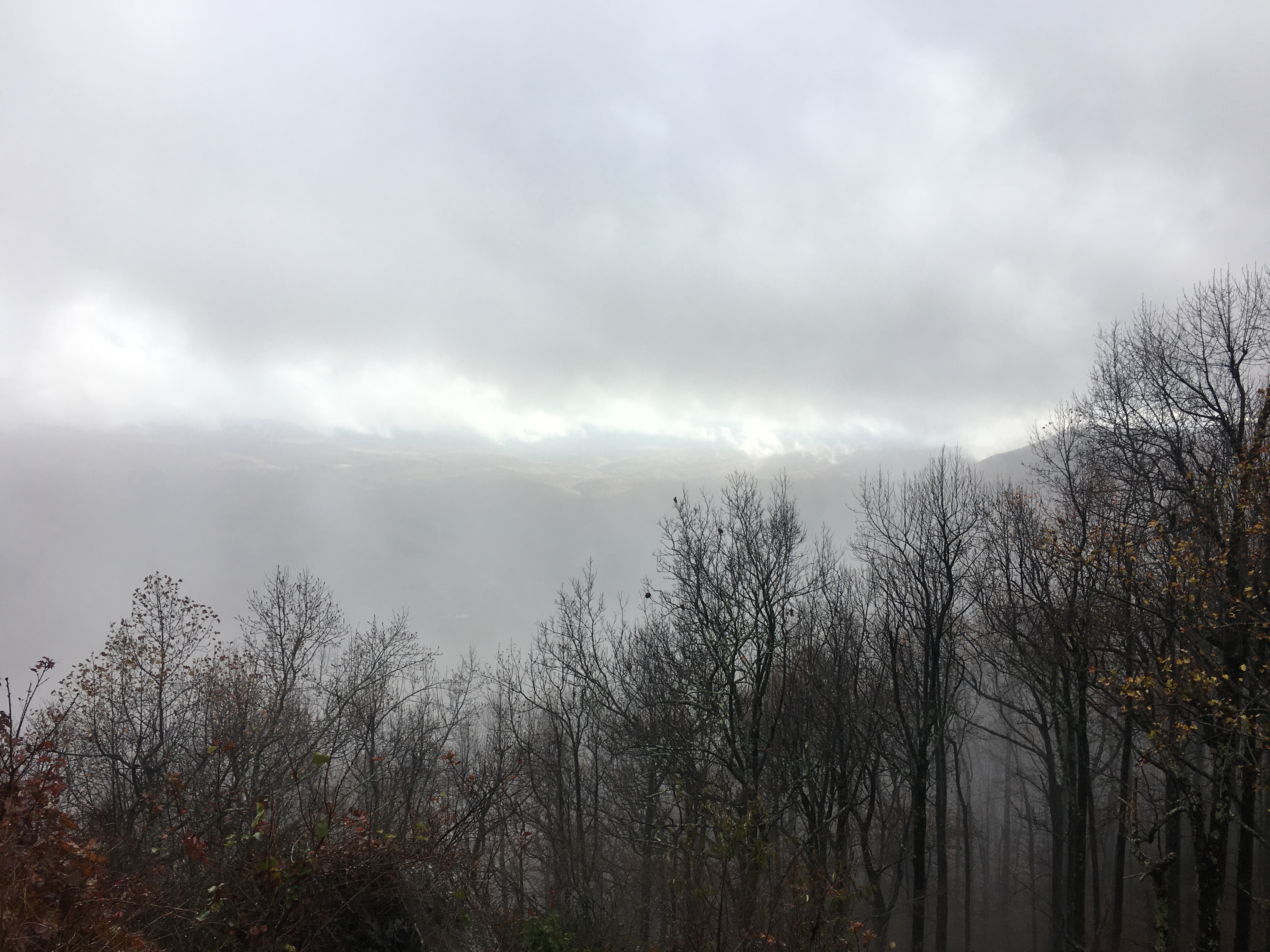 93EA4937-6FF9-4DC4-BFA8-C2B2C4B5581B