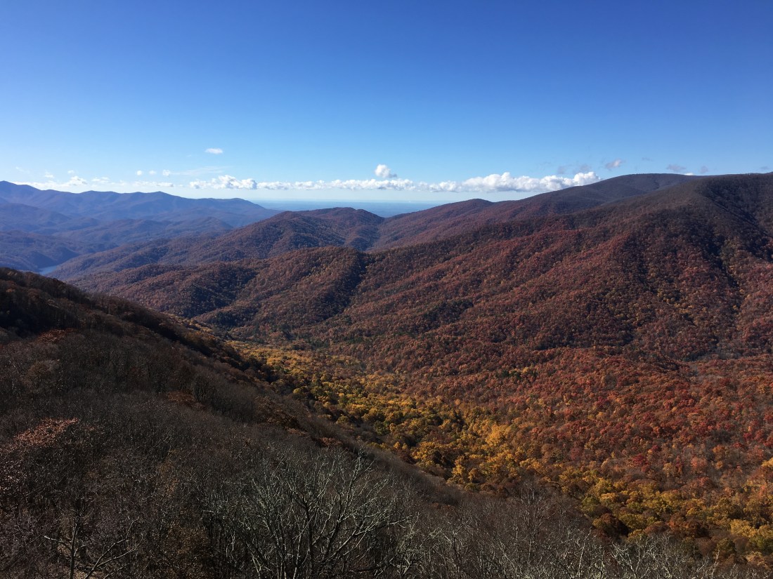 93F3D13B-1BC1-45B3-9178-6C1B2555083A