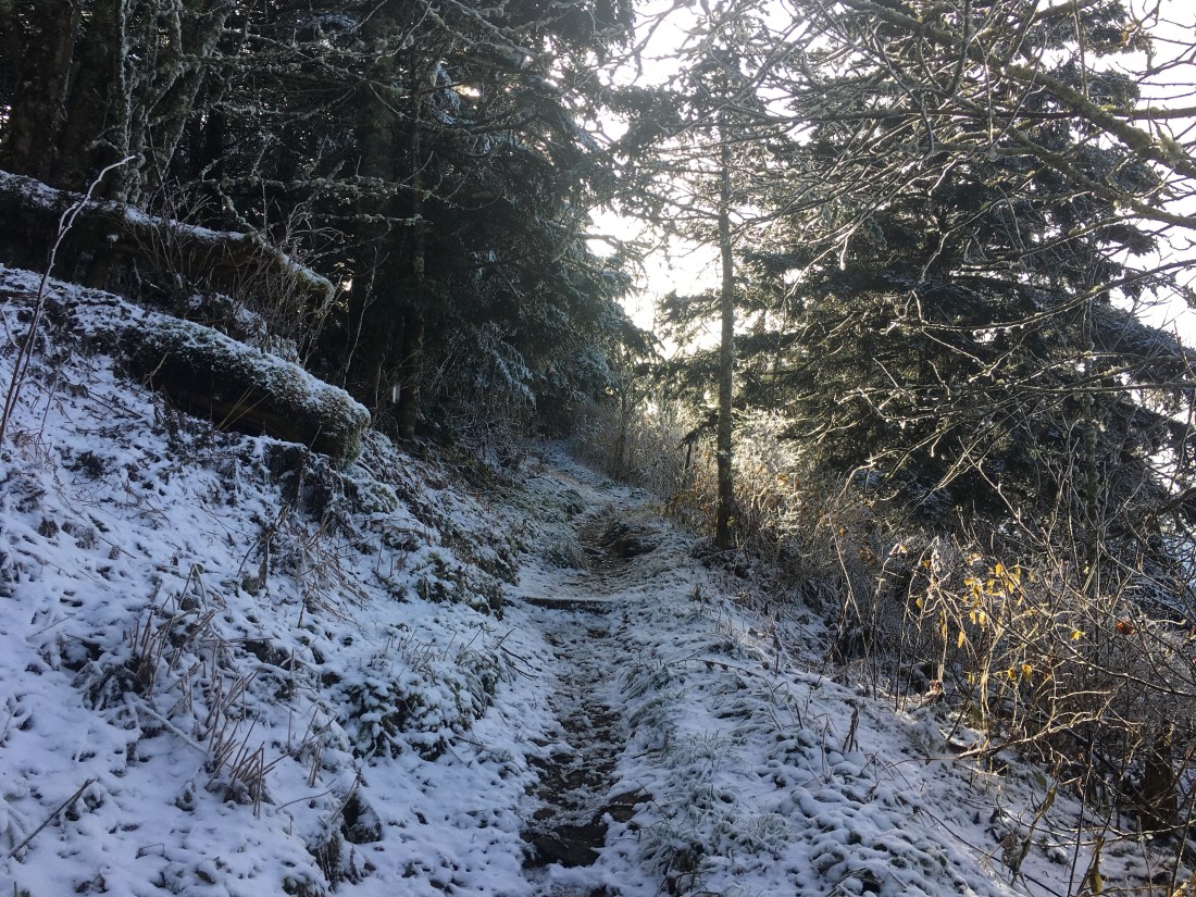 A23B1A3C-2BFF-496C-8D72-CE85BD588405