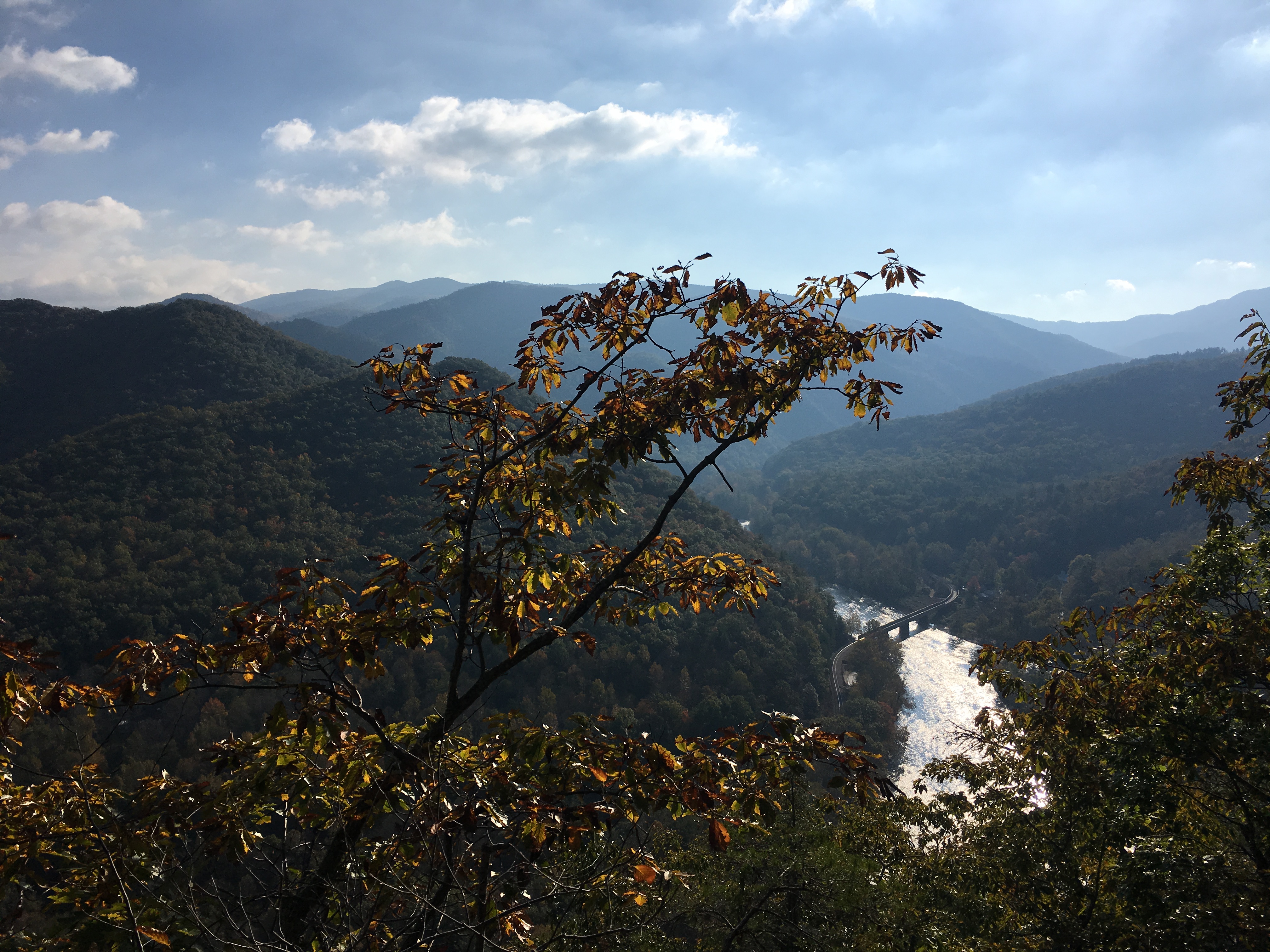 A4EA66F4-0CA6-45A6-9040-3B61818FDE50