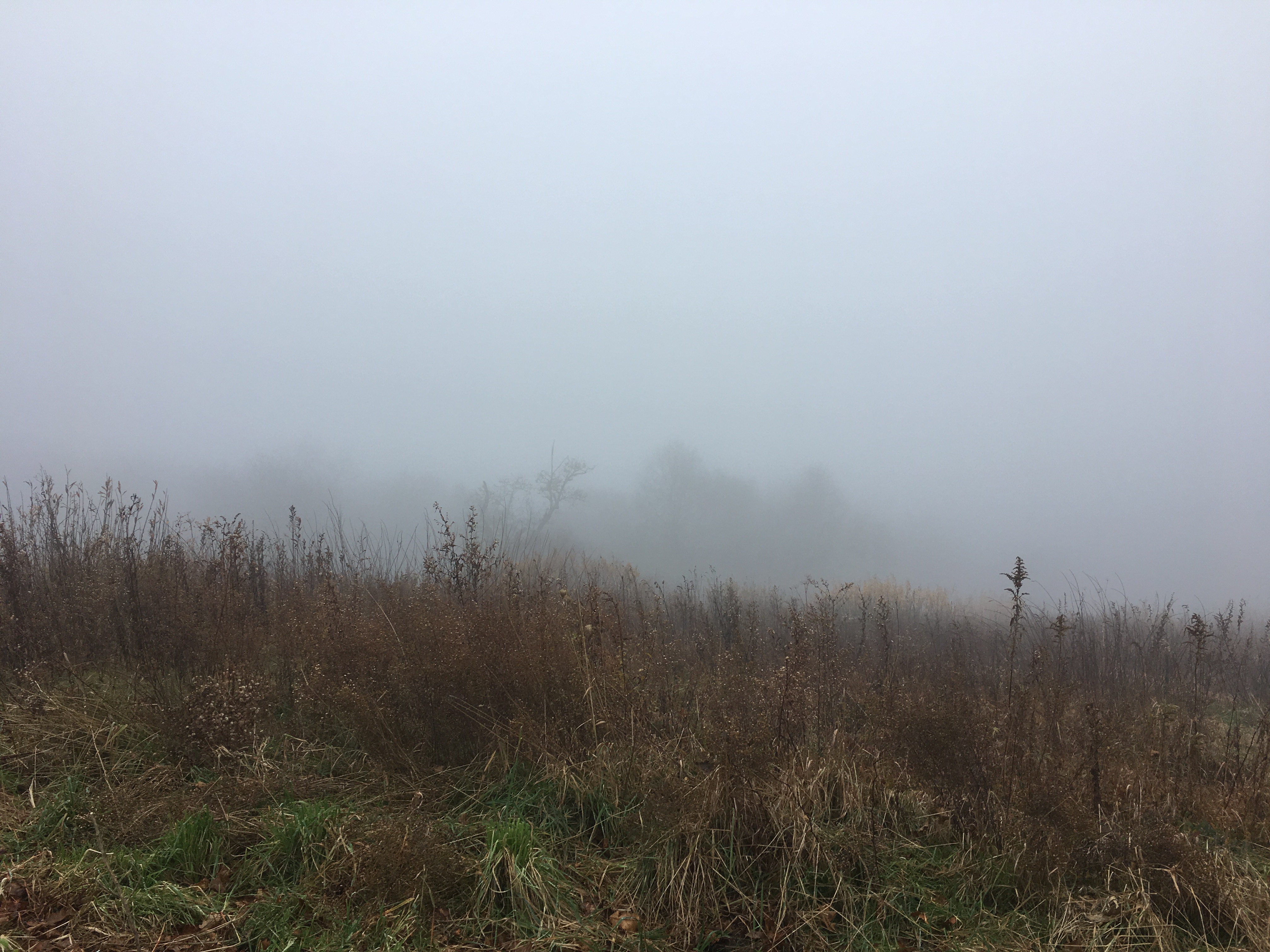 A51364EA-7A7E-423B-BE24-F5E367754515