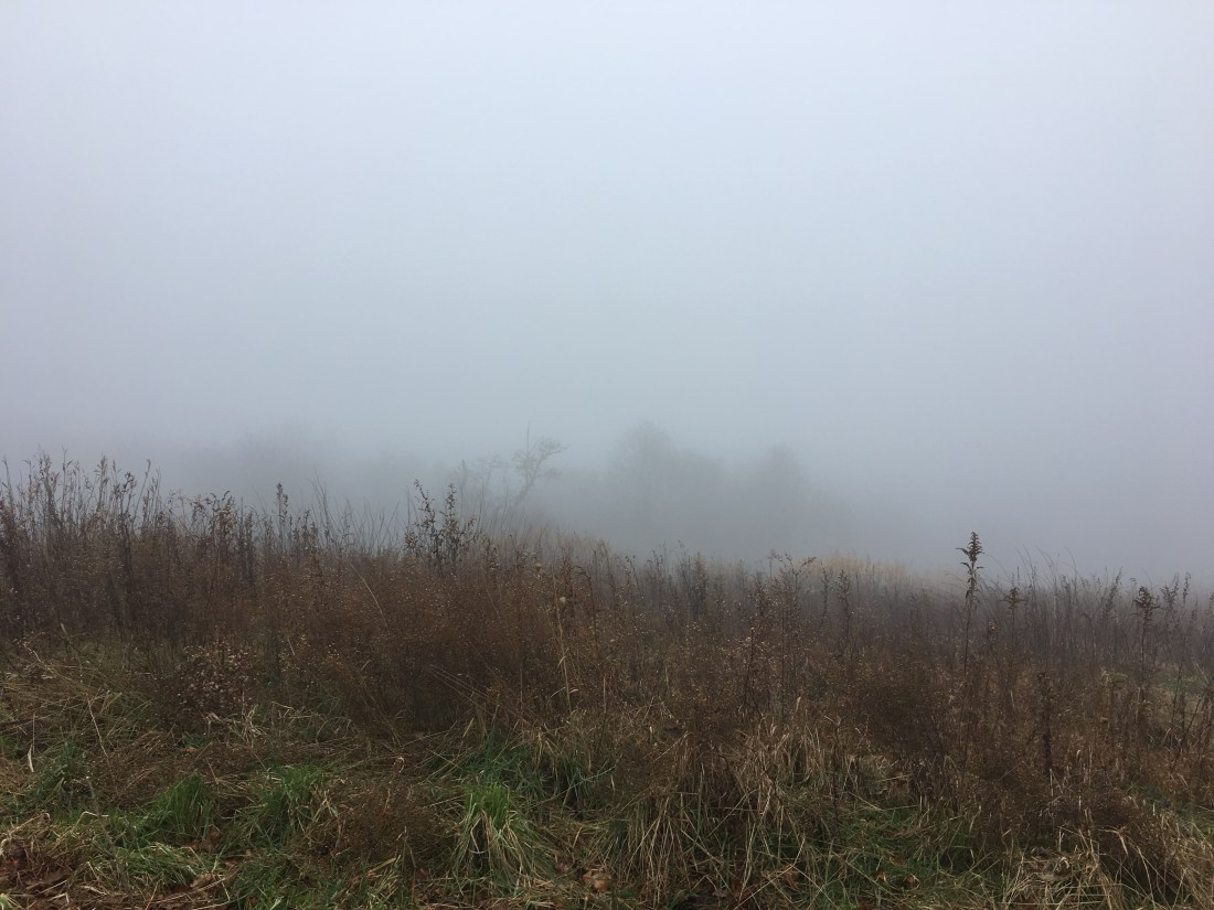 A51364EA-7A7E-423B-BE24-F5E367754515