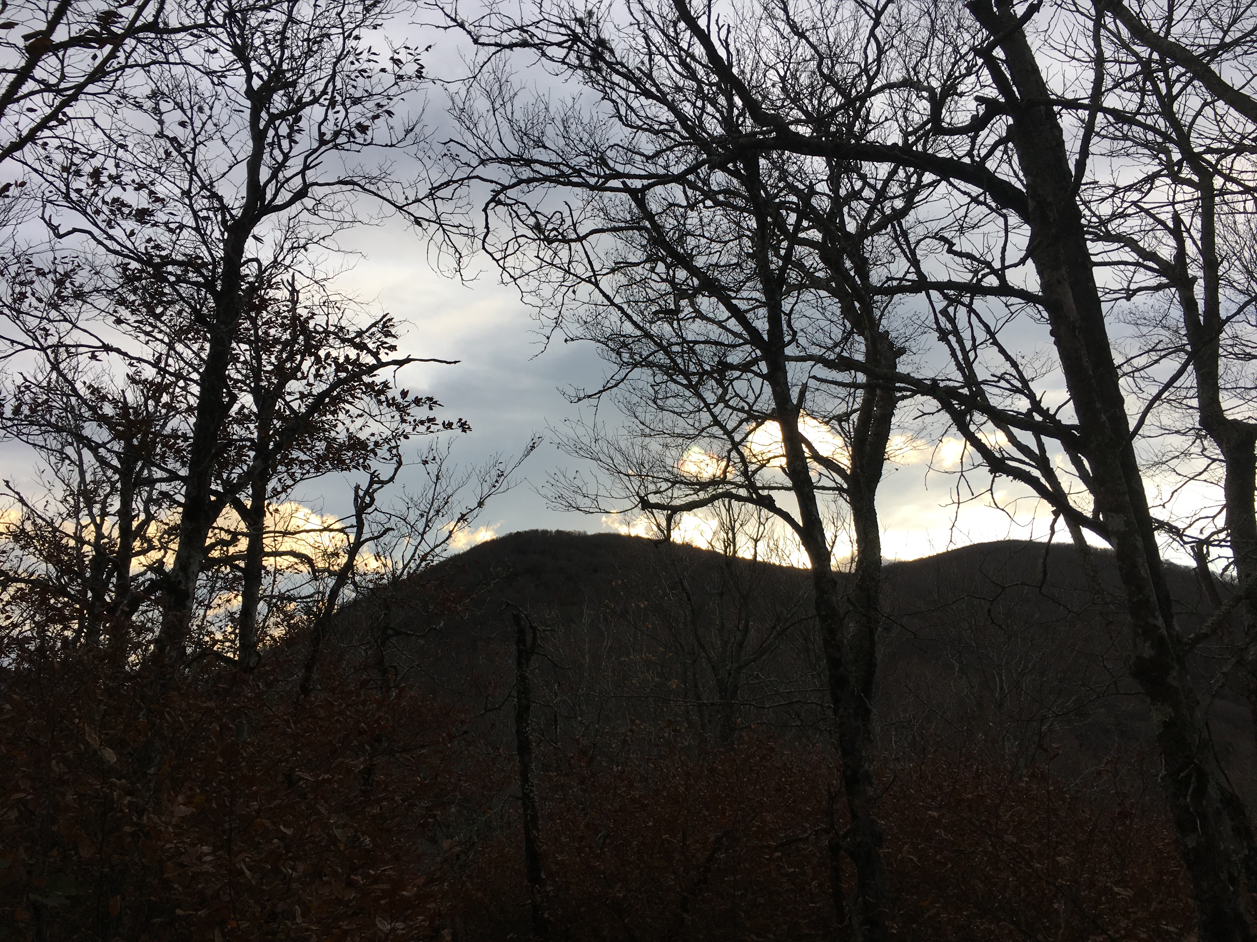 A7AFE8E8-98E2-416B-976C-DA1E86D94727