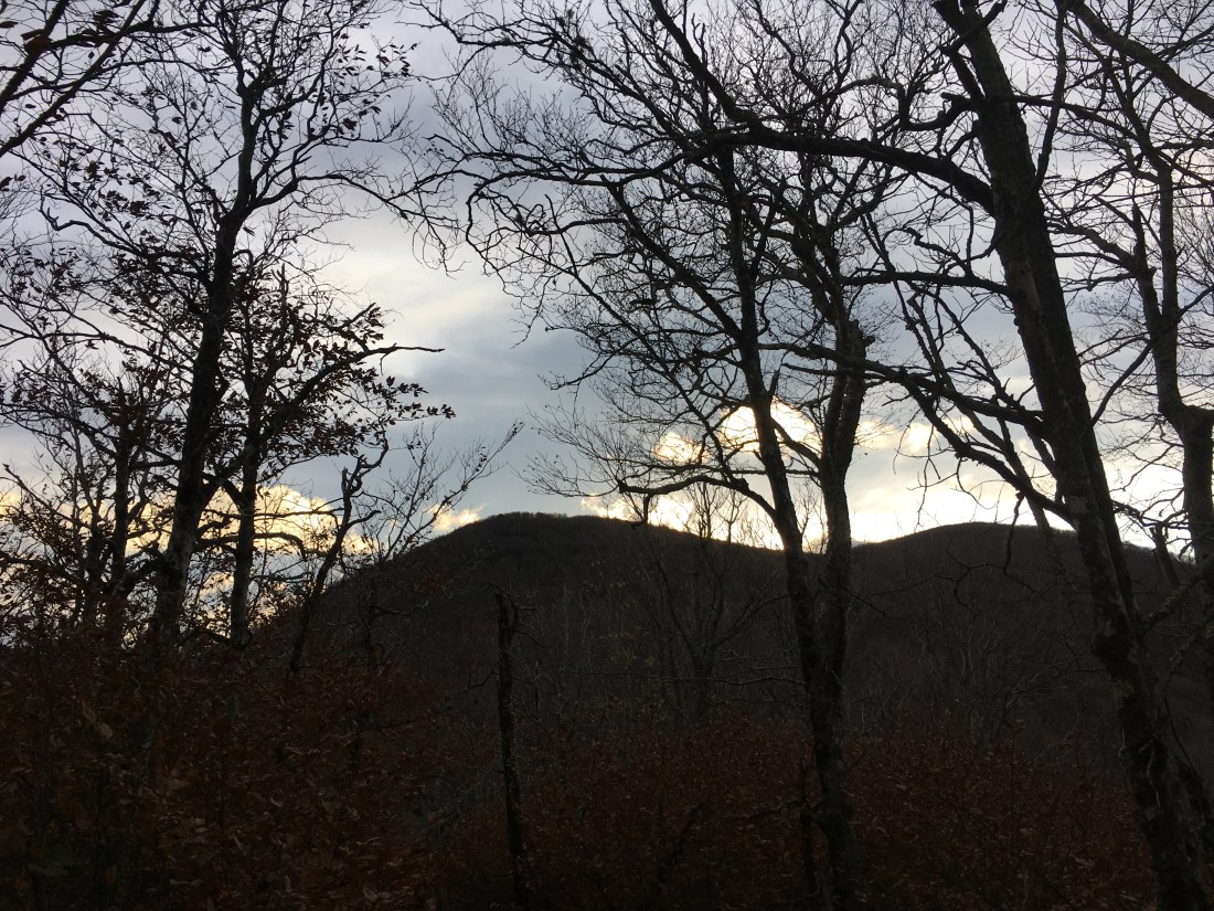 A7AFE8E8-98E2-416B-976C-DA1E86D94727