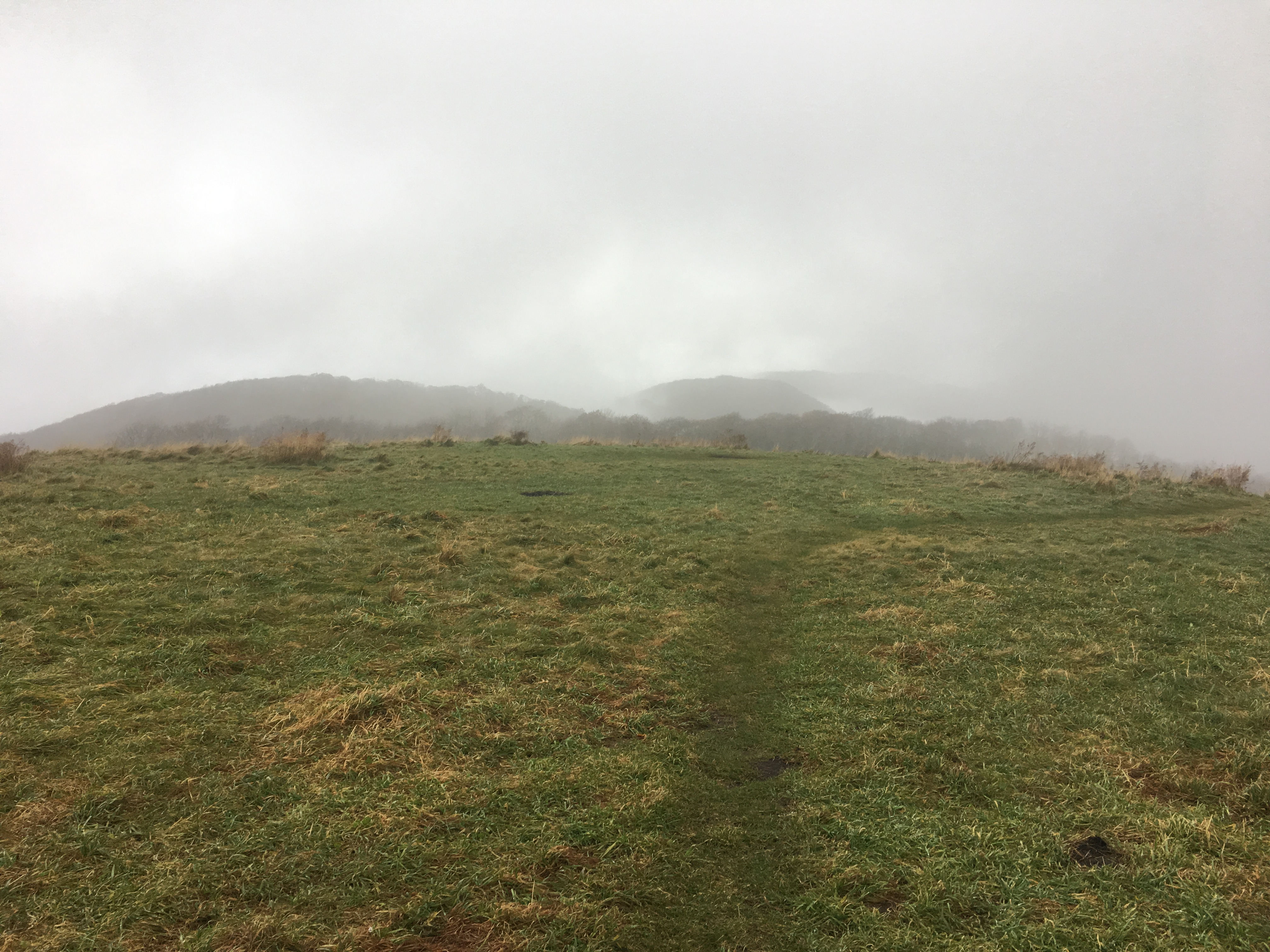 B2269D37-E44B-4319-882A-C3E0A1AE0D17