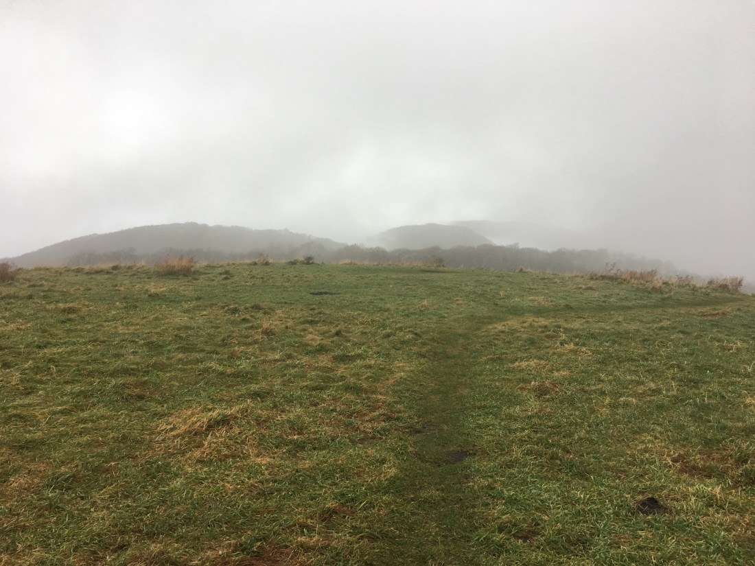 B2269D37-E44B-4319-882A-C3E0A1AE0D17