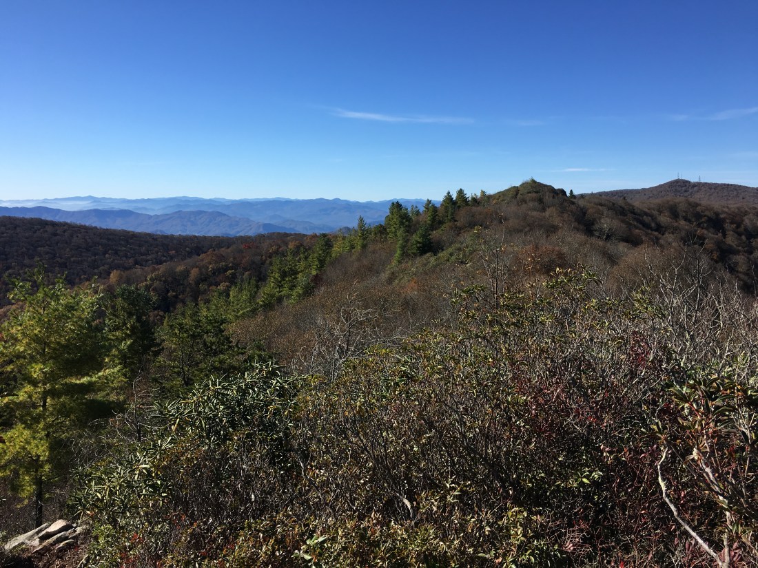 BF1F359A-7702-4AB8-89DD-F3CDE147F17B