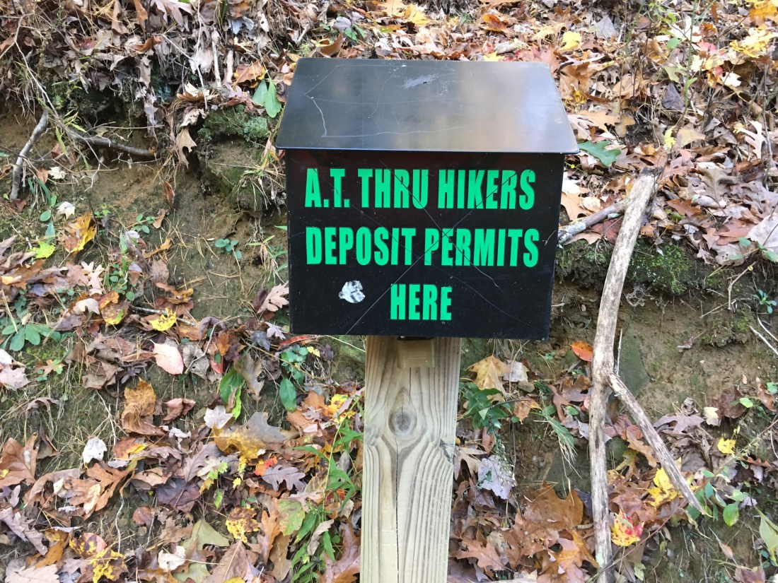 C10B91A1-F47D-400E-8BD2-51B9A45DE913