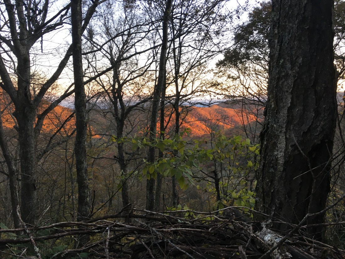 C1BE2E9F-31E7-458C-8DE4-5B2CB263FFAB