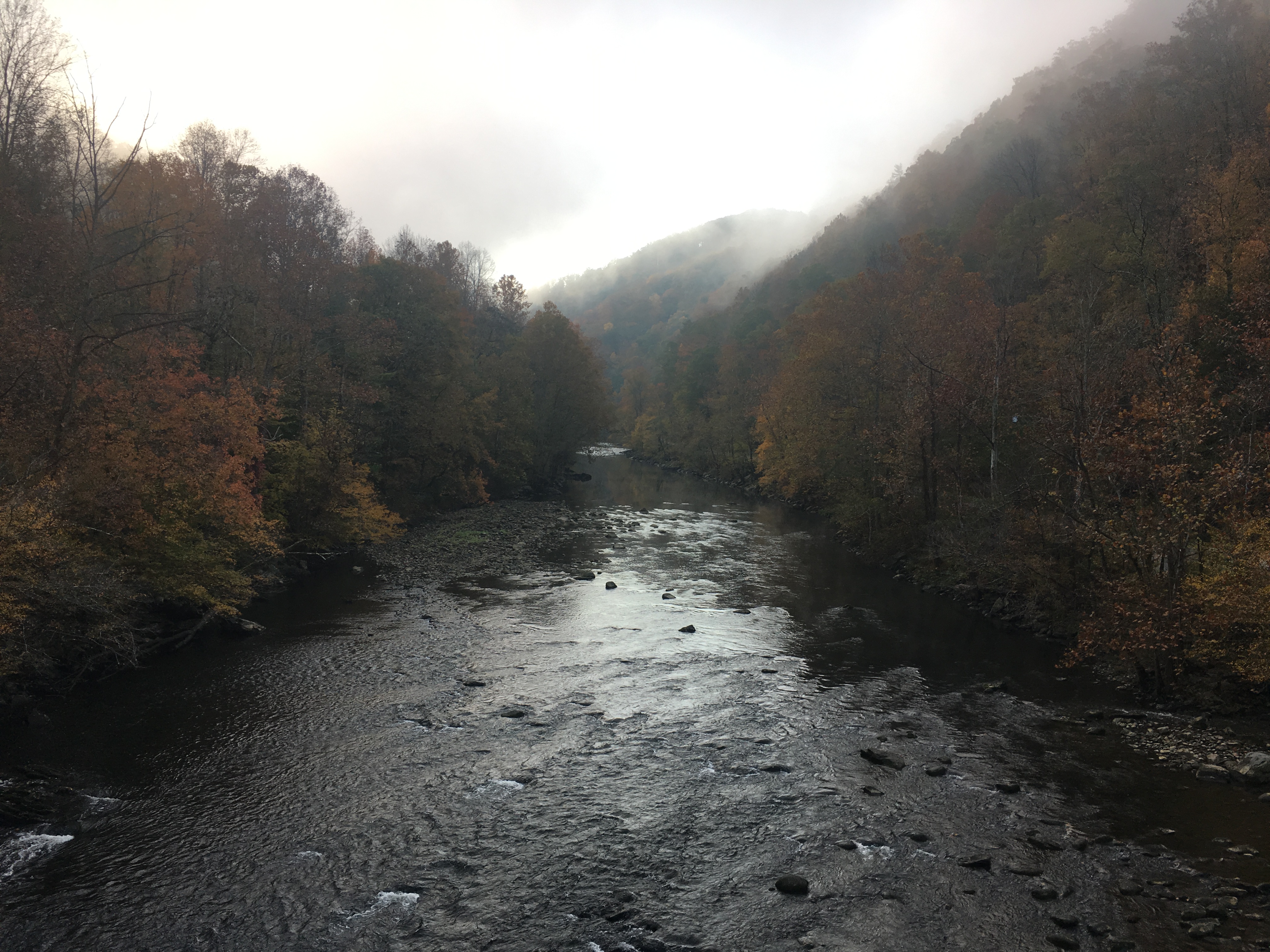 C6E9E2F1-7D33-4F01-9C6C-DF0230DBBA18