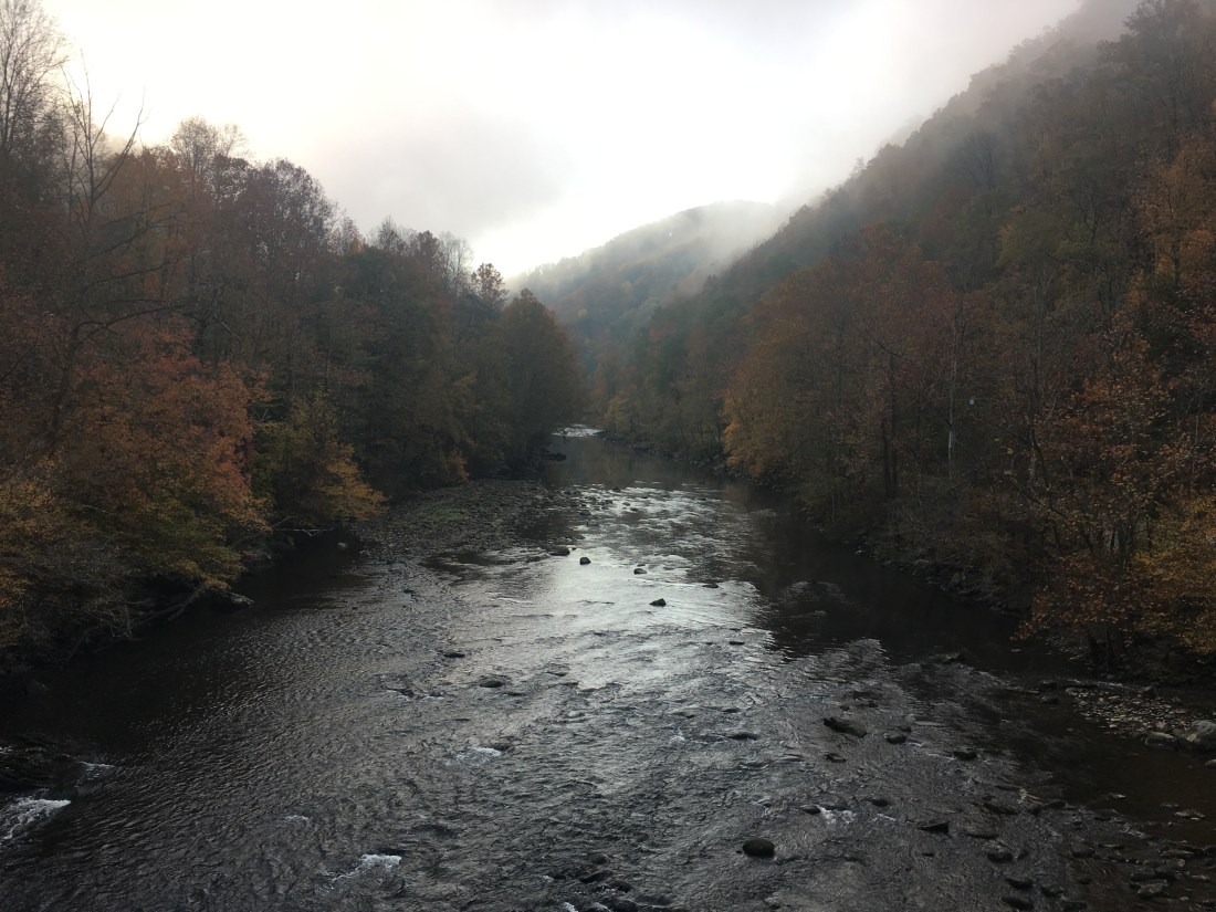 C6E9E2F1-7D33-4F01-9C6C-DF0230DBBA18