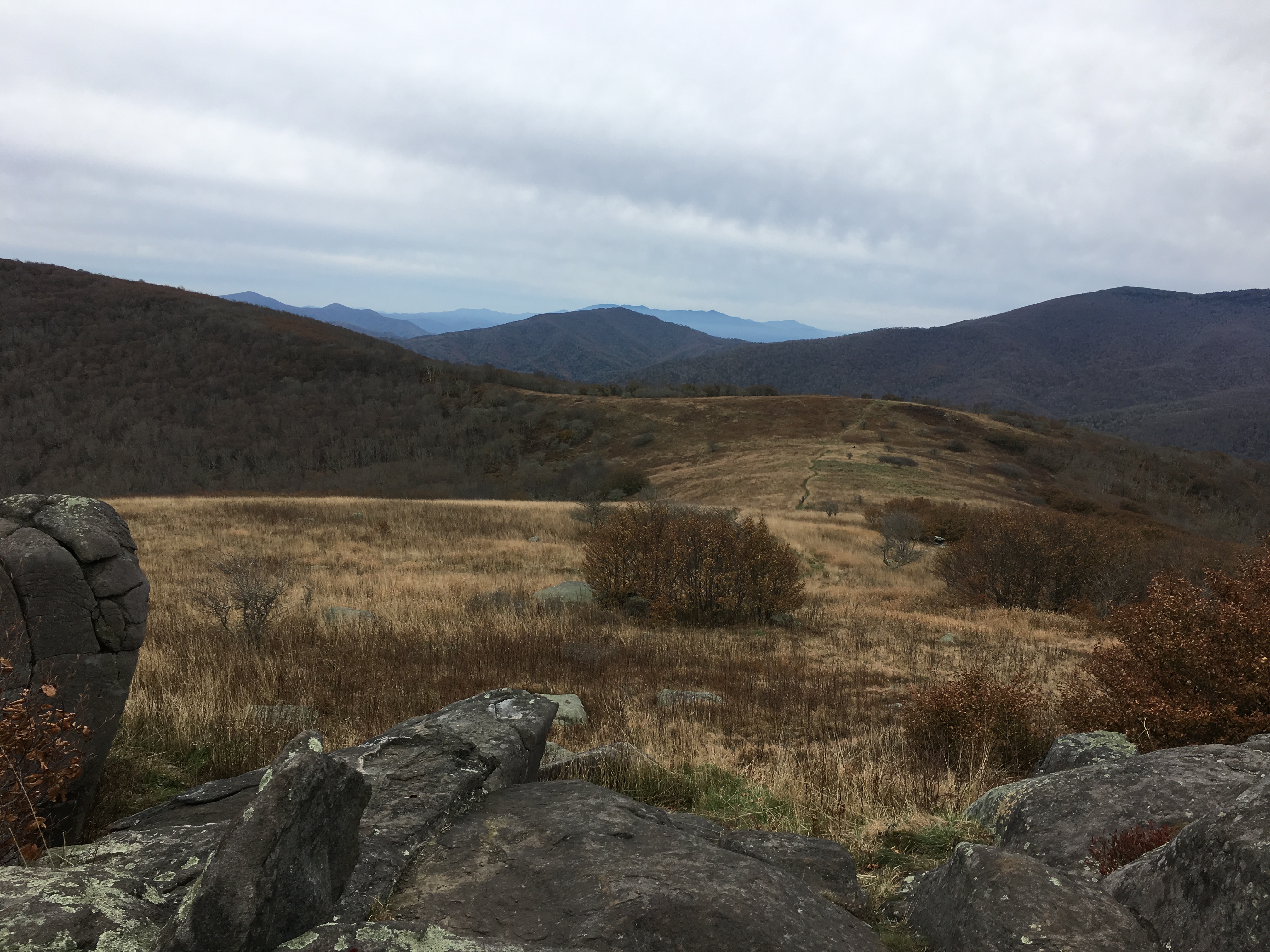 CDBF9FA8-3A0F-47FE-8014-3D5F07239977