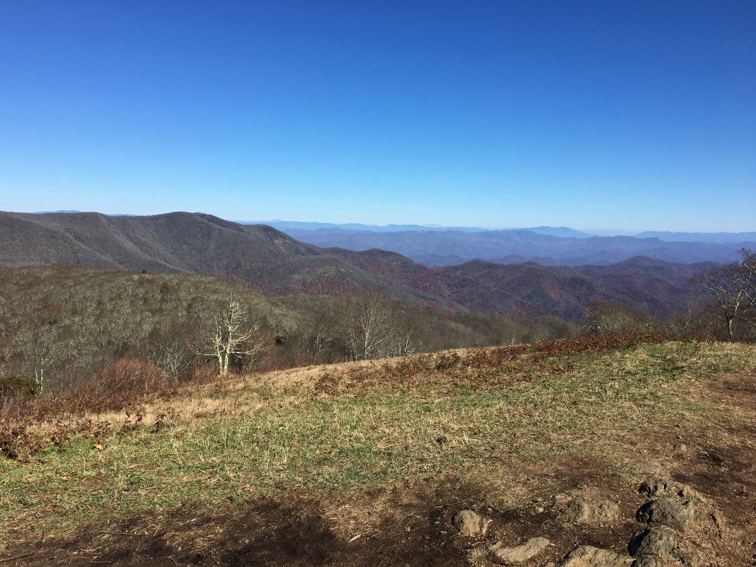 D423074F-E288-489C-B28D-7F5F8D71BA9C