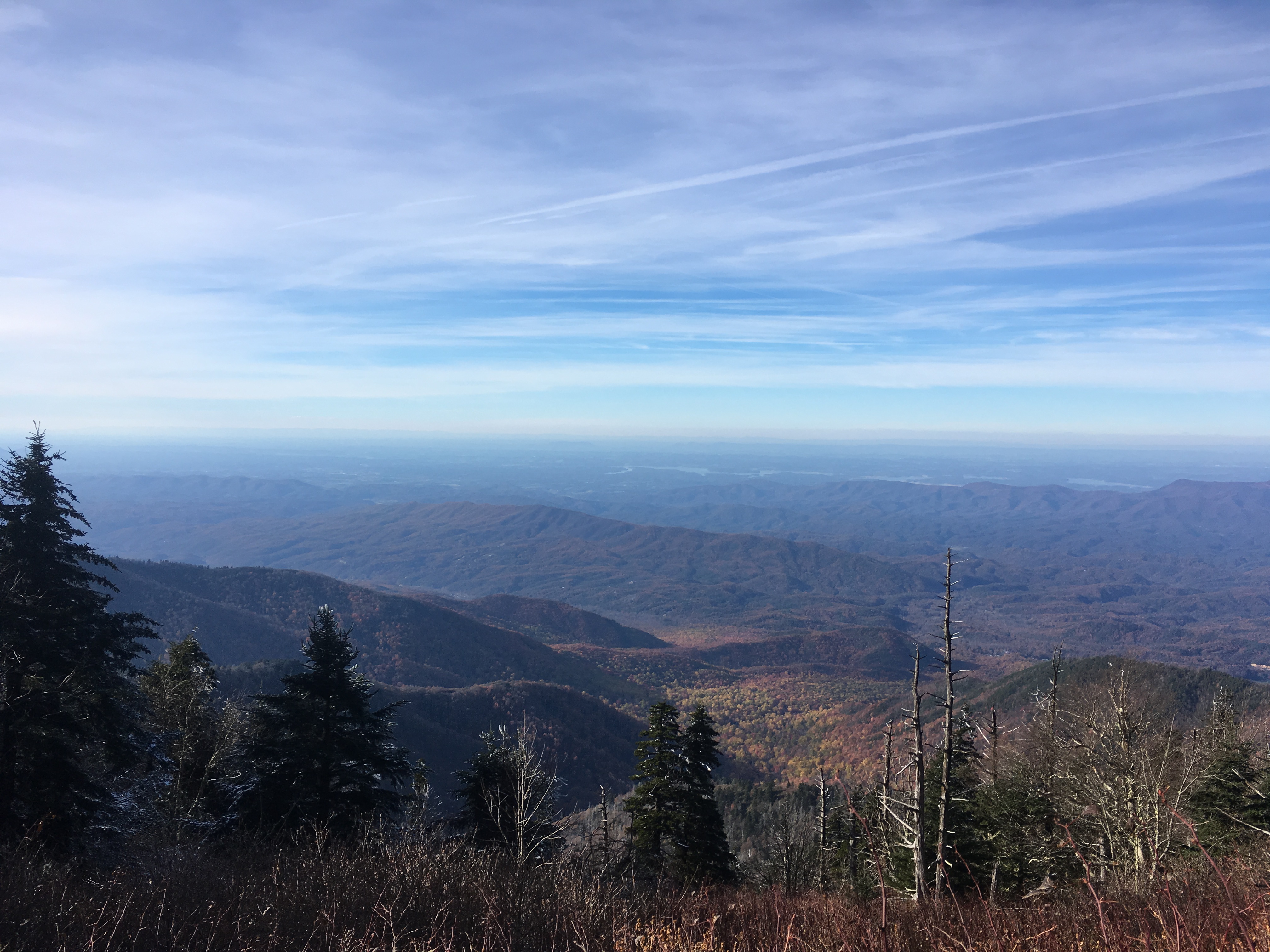 E6633365-919F-469B-948F-8483CA44985B