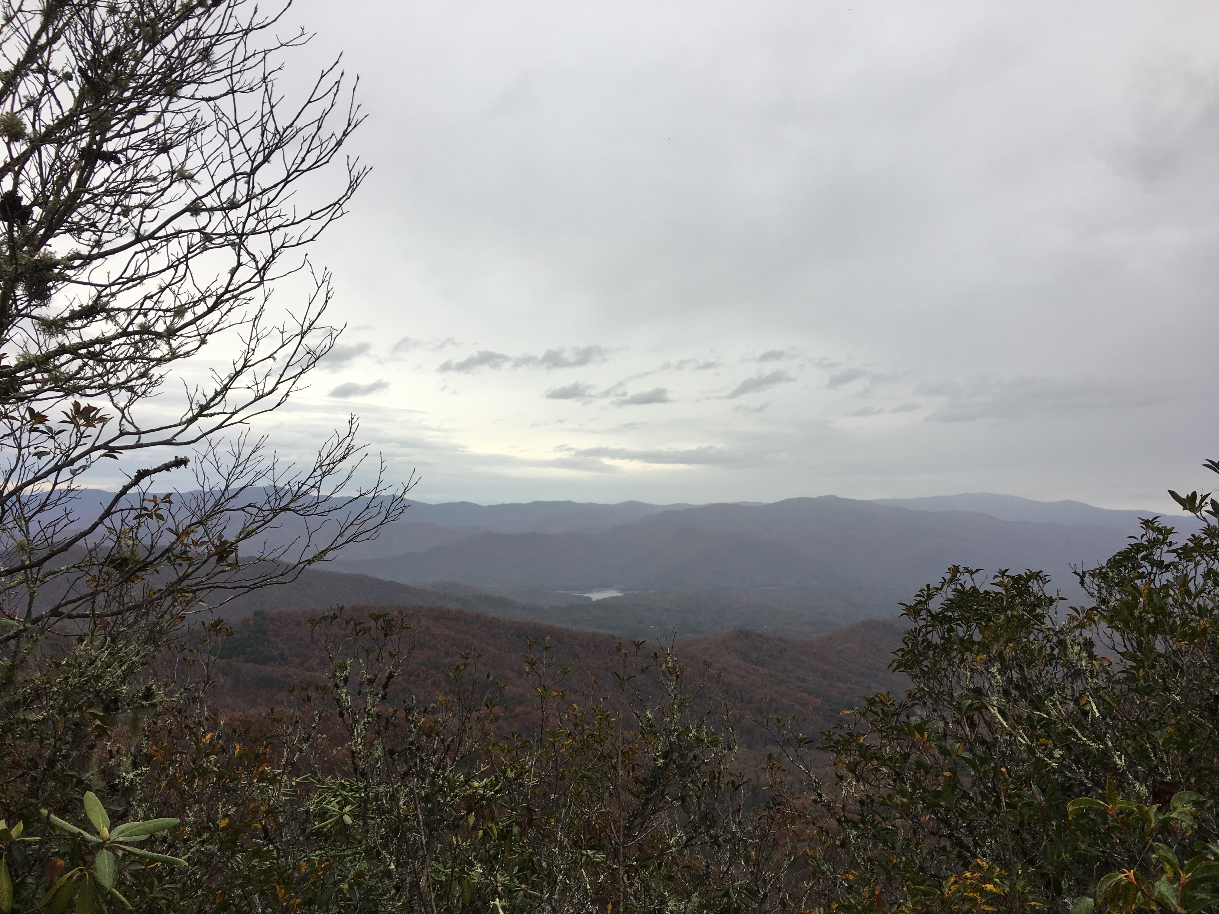 E9C5ECE6-4EA9-46E0-870F-C16A1380C913