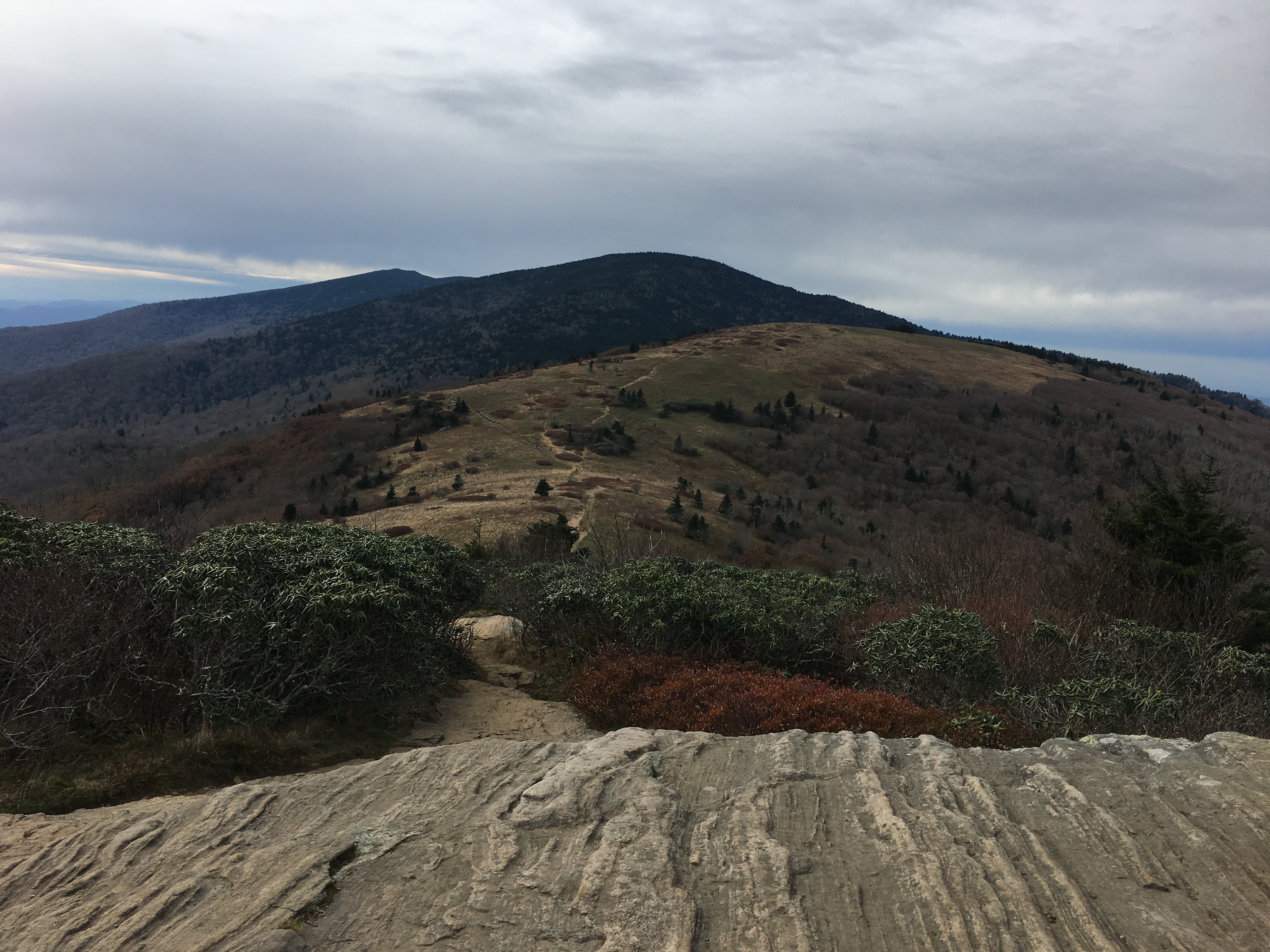 F474B0BF-E945-40D8-AF57-674B8A15FED7