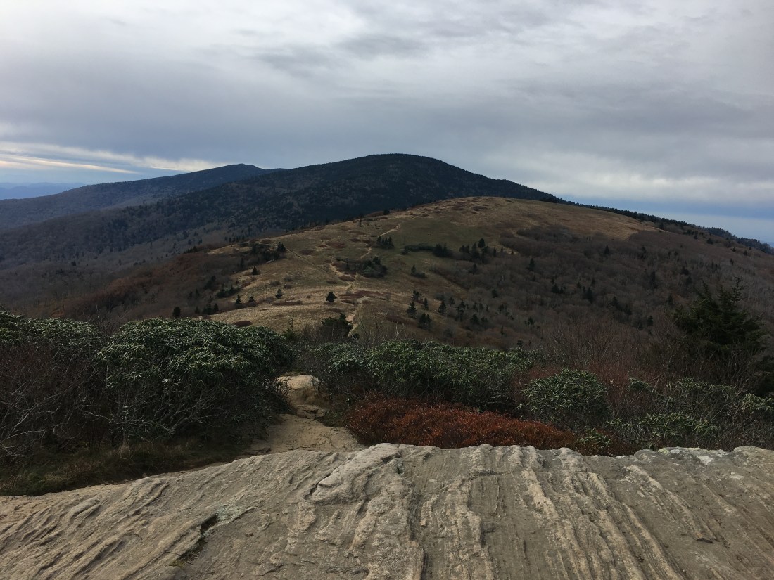 F474B0BF-E945-40D8-AF57-674B8A15FED7