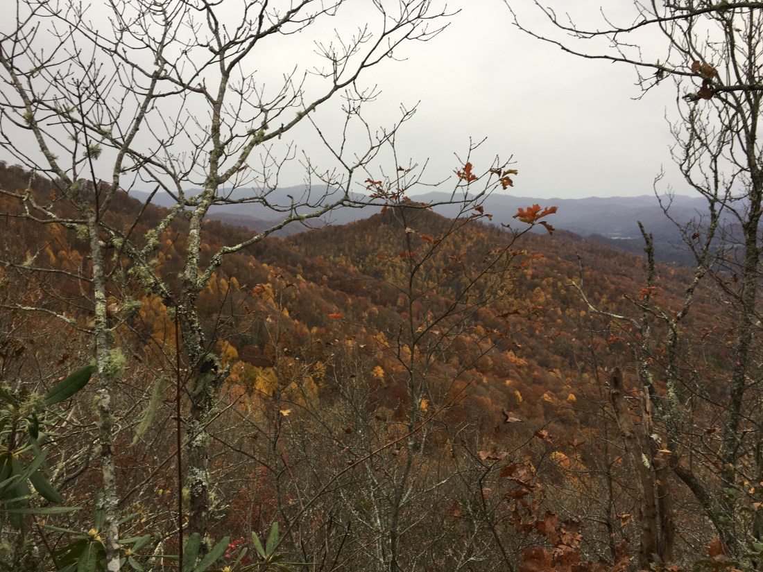 FC7690B7-1E5D-4F55-981E-EC706D948CB6