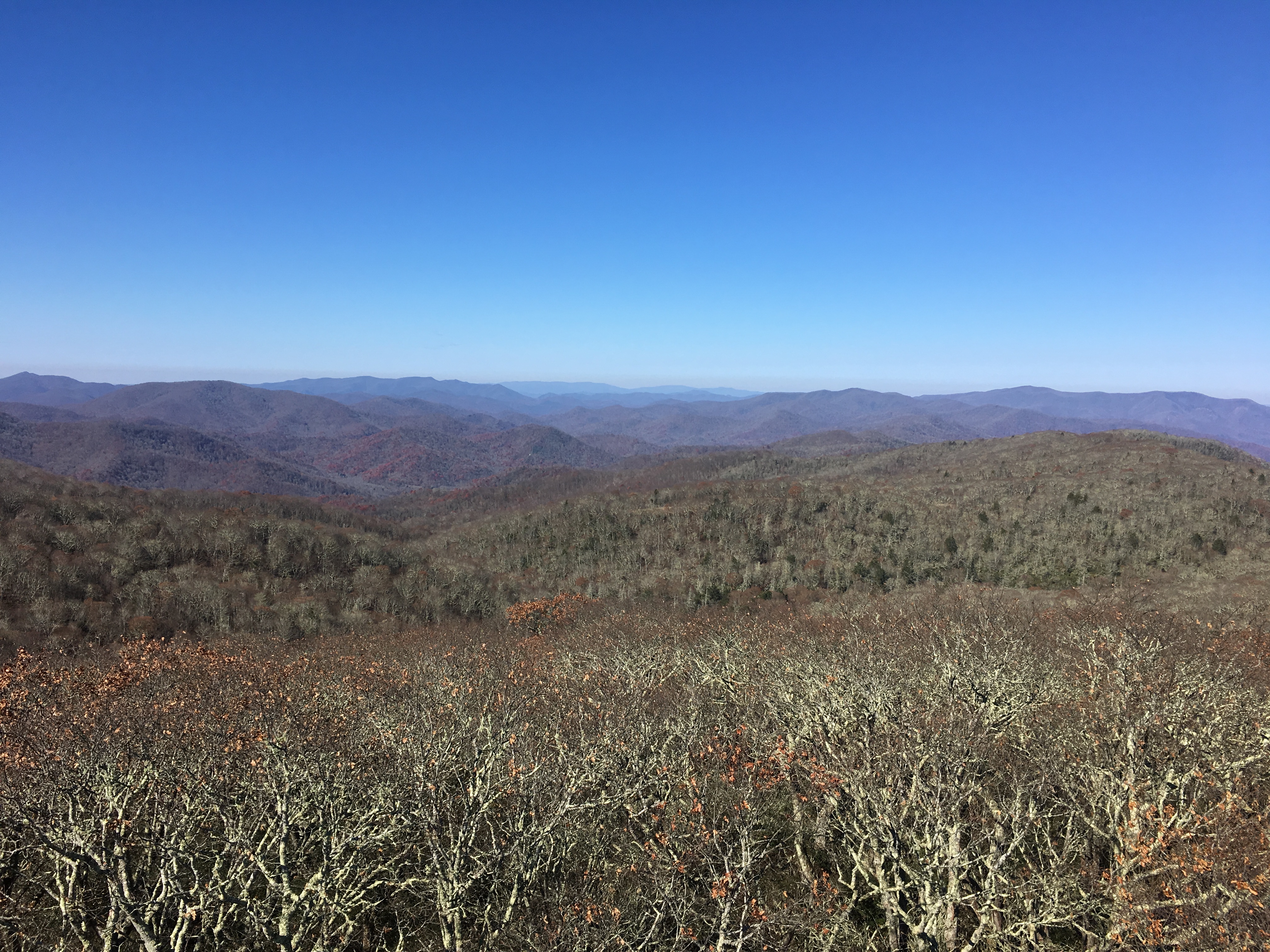 FCC89EE3-3D74-46CA-93EC-8FE2A9C7A832