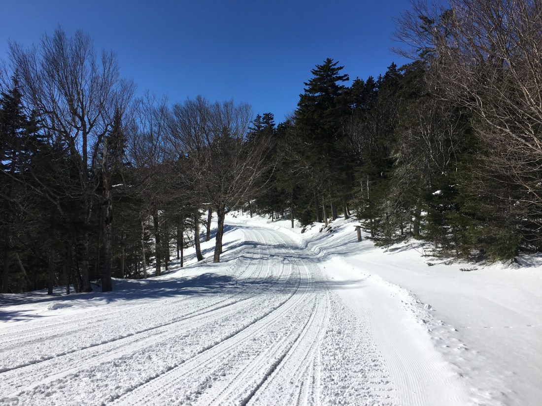 0124B454-1AD7-4858-918C-305976268142