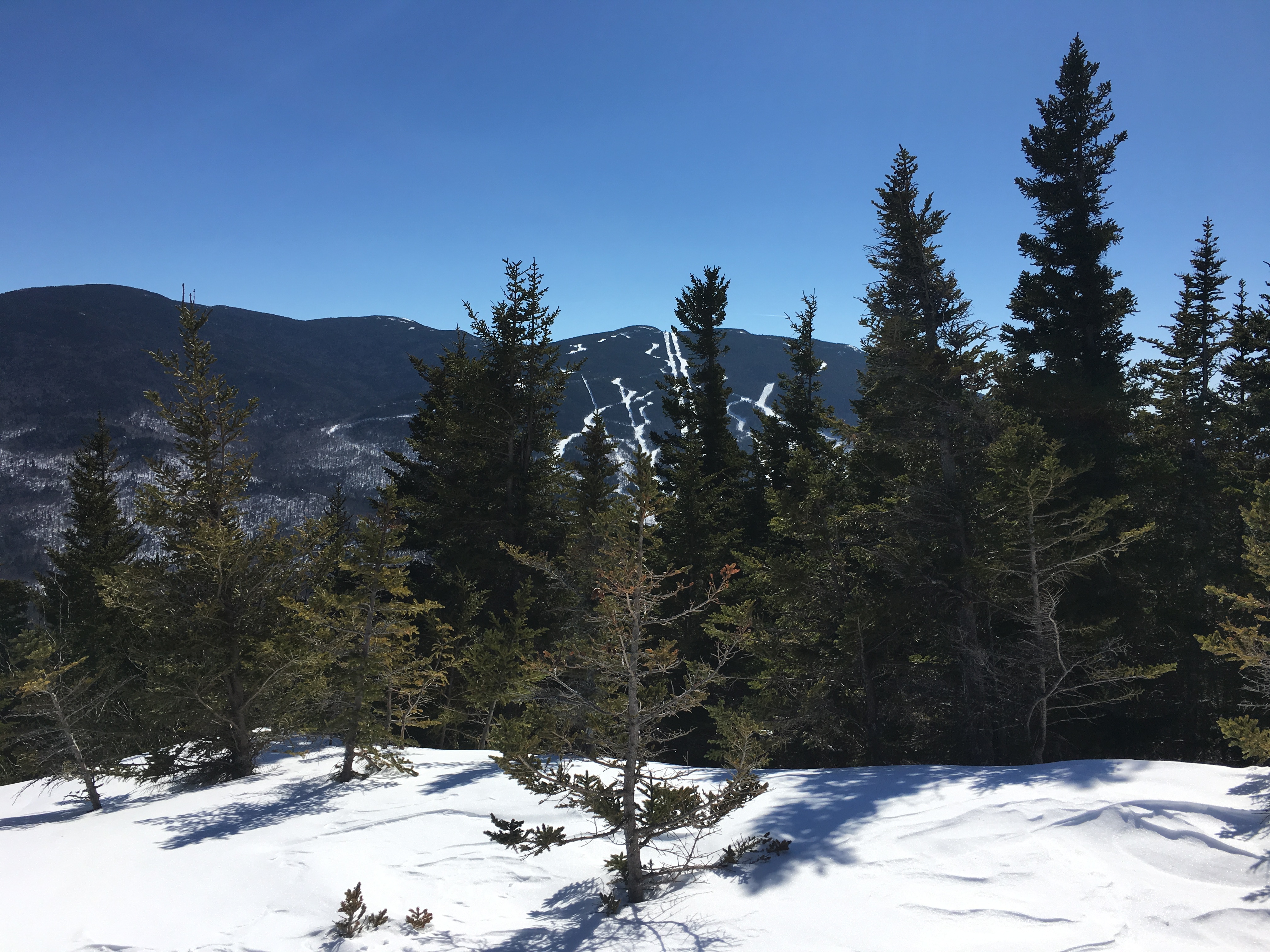 1548B8CE-4FA0-40FC-BCCF-7BA24AC6AD3D