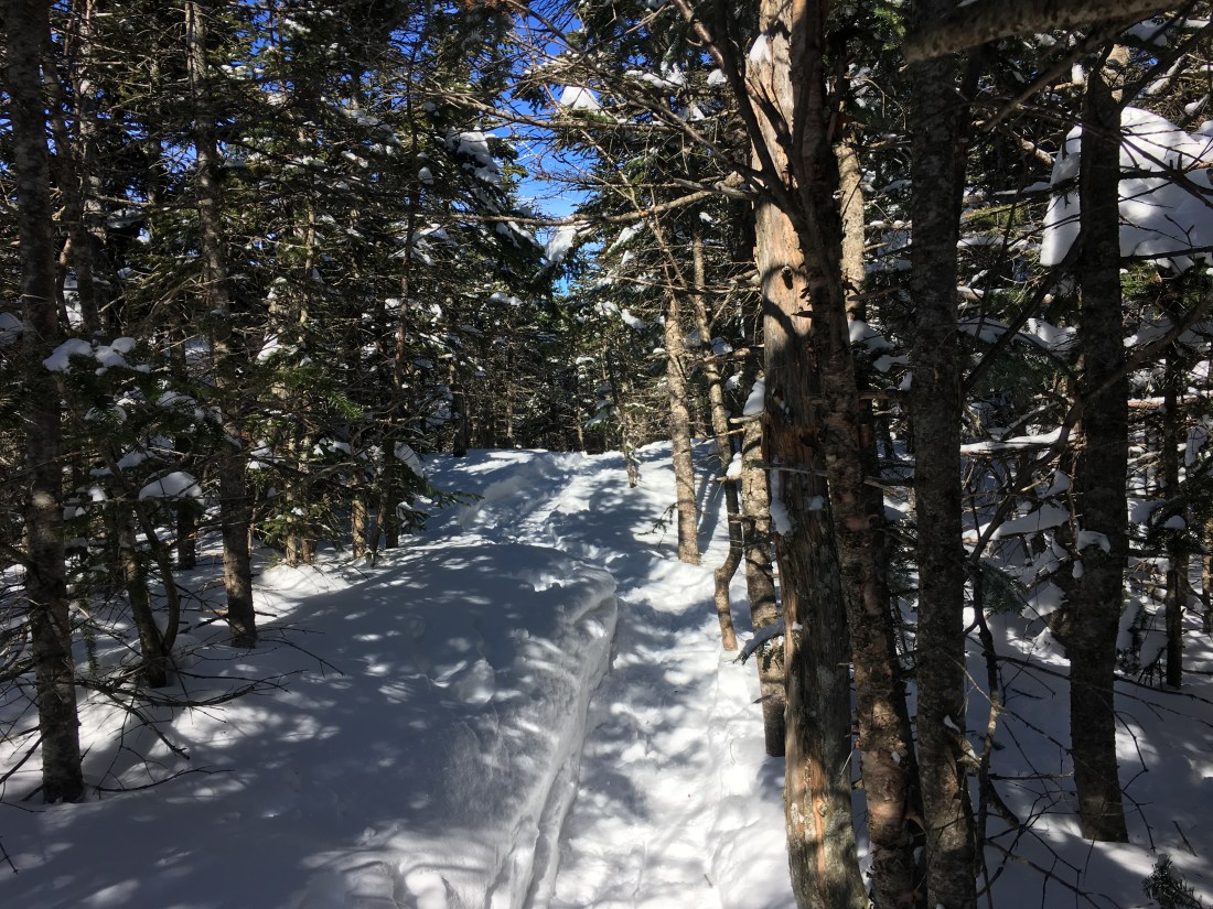 227041B7-1DB3-472D-8E4A-38082E0AB2D0