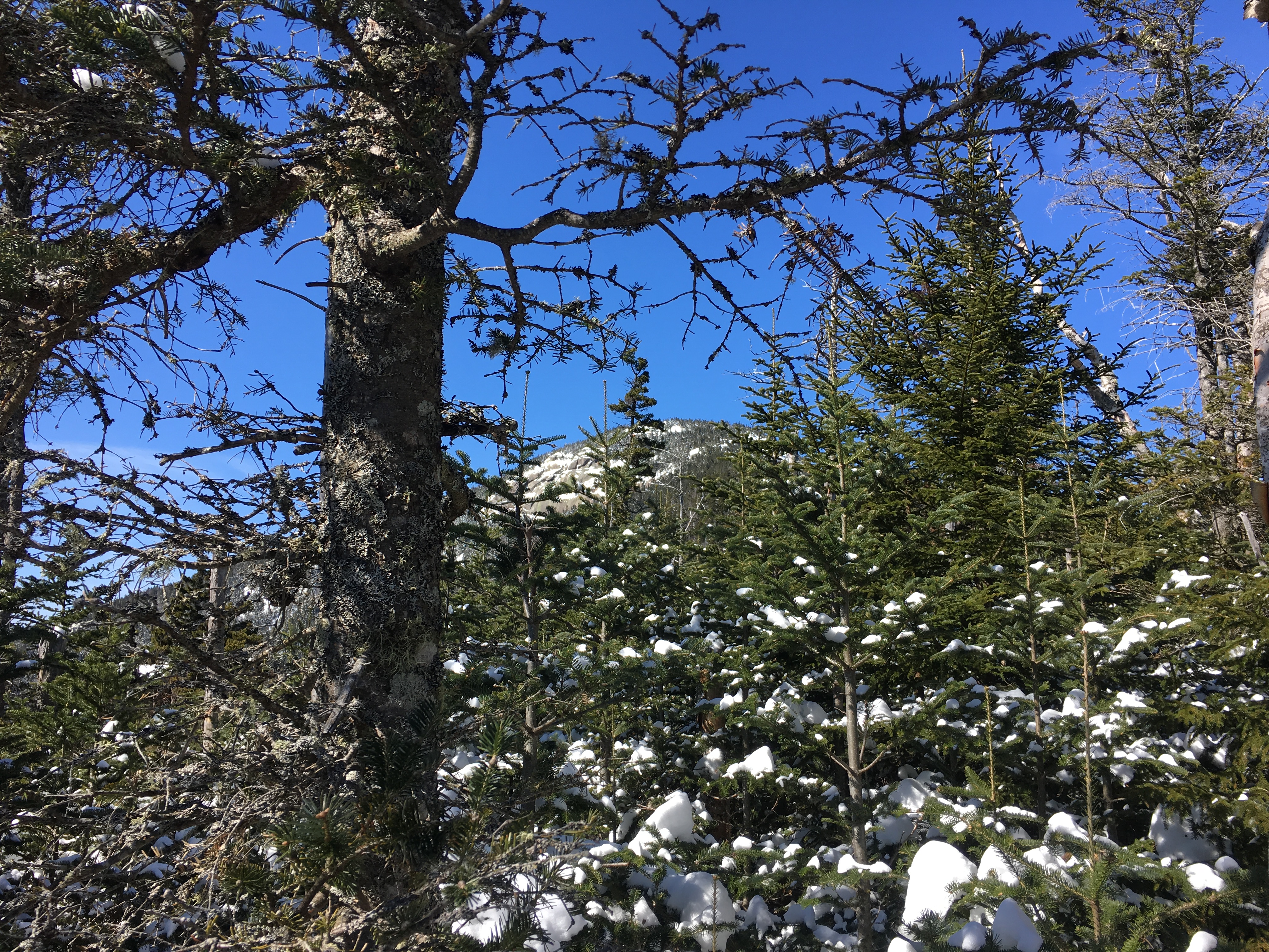 2911570F-A28C-4852-8404-3198D3753AE2