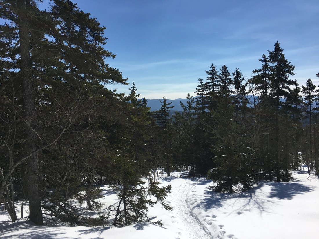 2BC61A32-7DFB-4914-939F-6187A6D2F420