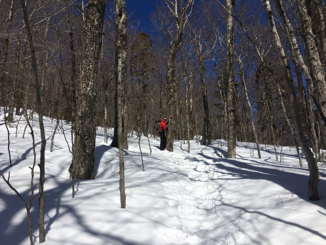 2EB69939-6100-42AA-83CA-F5915D1C1FFF