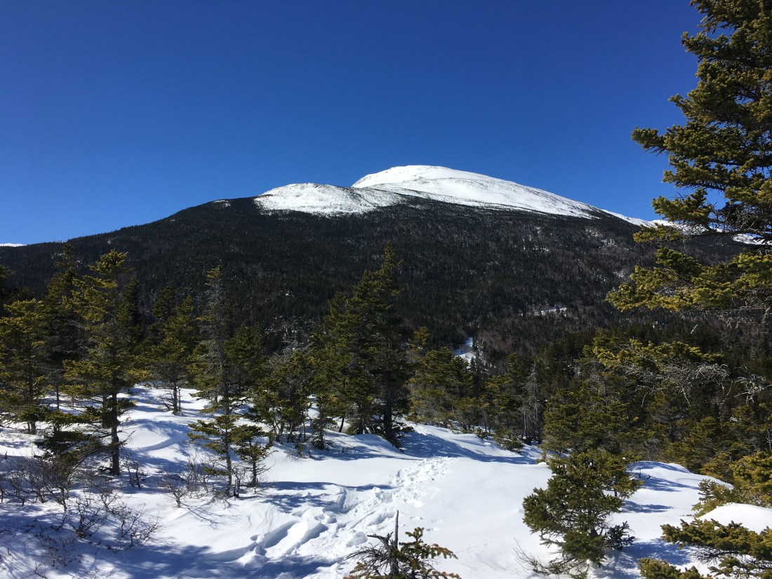 6D54EF88-4209-4CD0-AF6A-BB2A41EF07ED