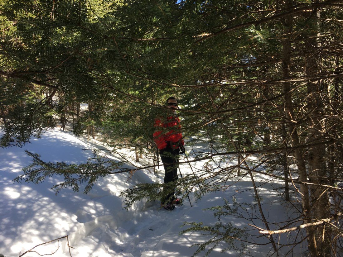 7865D75D-9B1F-4D09-9A71-F0F9650A56FC