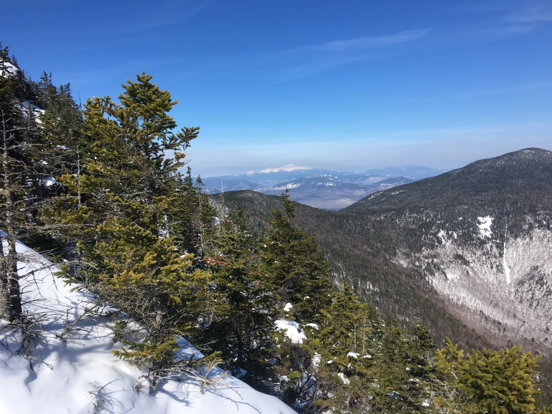 9325B3AF-3B1F-45CF-A744-B28B5866E971