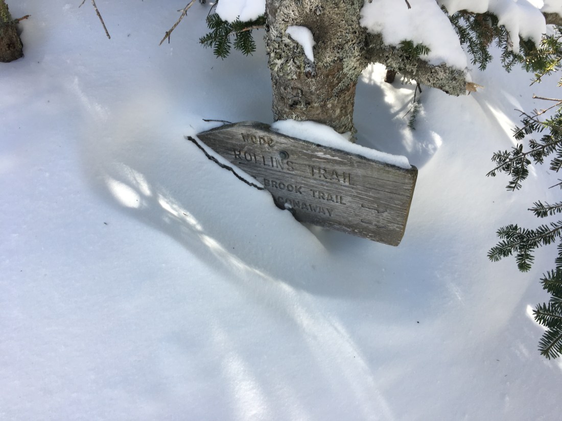 C4A7AC16-7EC9-4F74-881E-FFD2A7F0B680